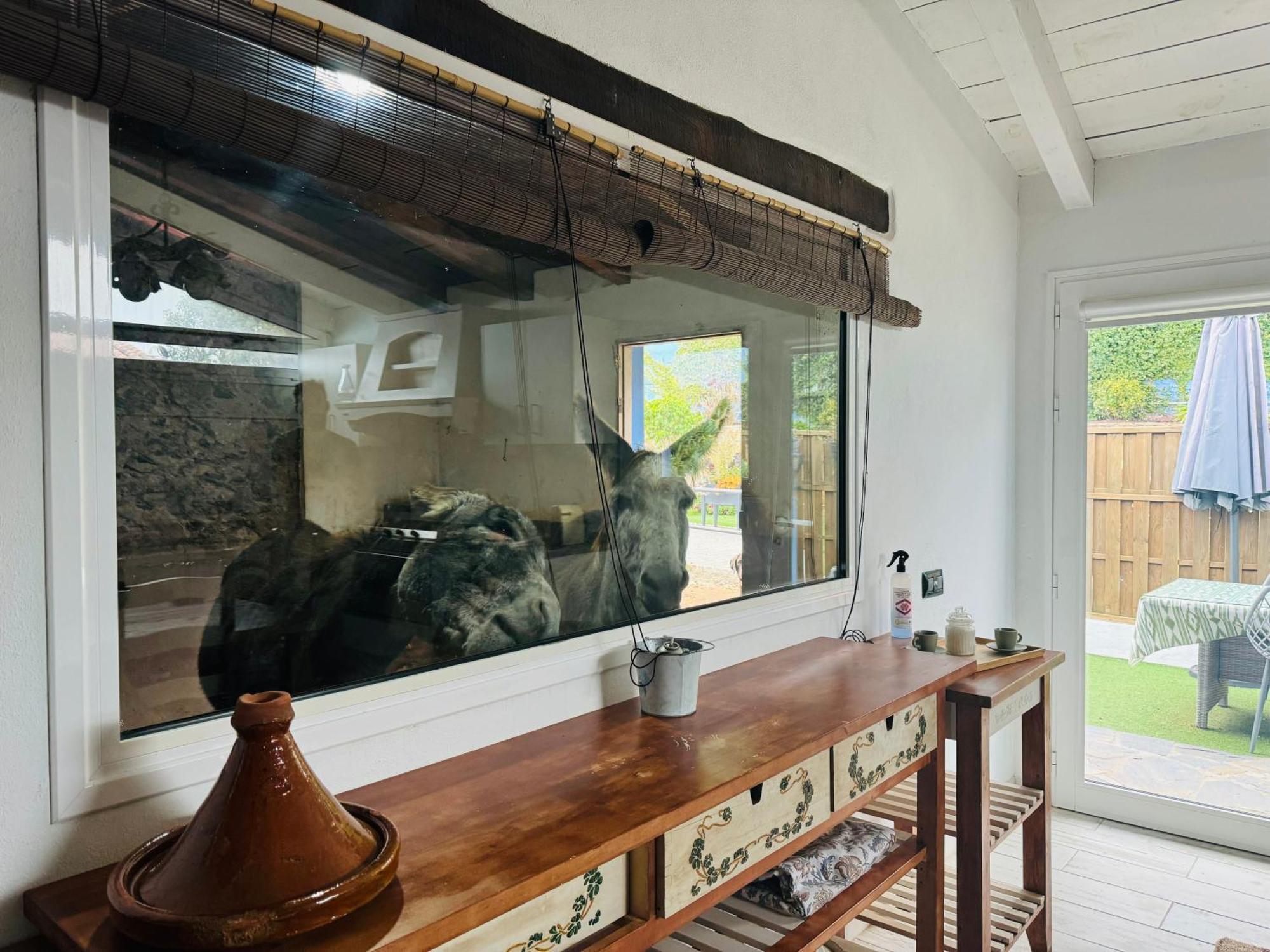 Casa Antigua La Esperanza (Tenerife)