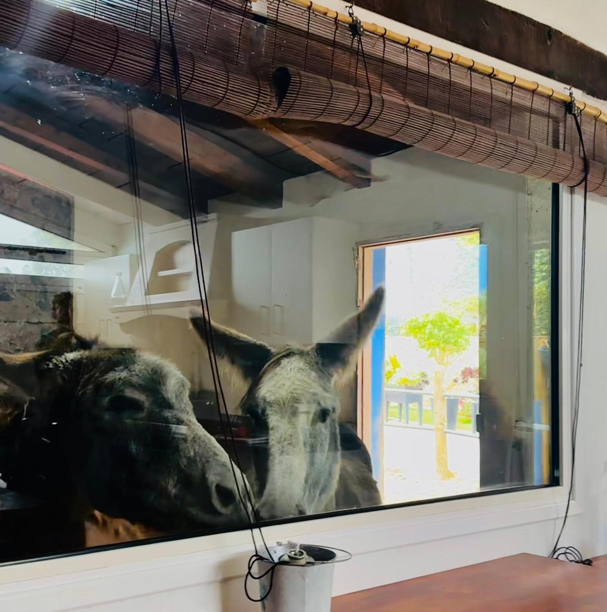 Casa Antigua Сasa de vacaciones