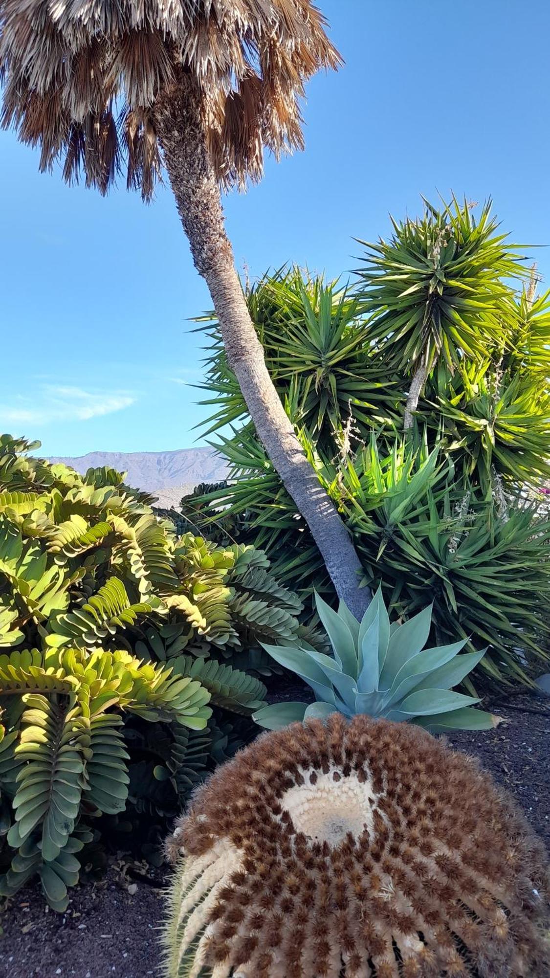Island Village Heights Costa Adeje (Tenerife)