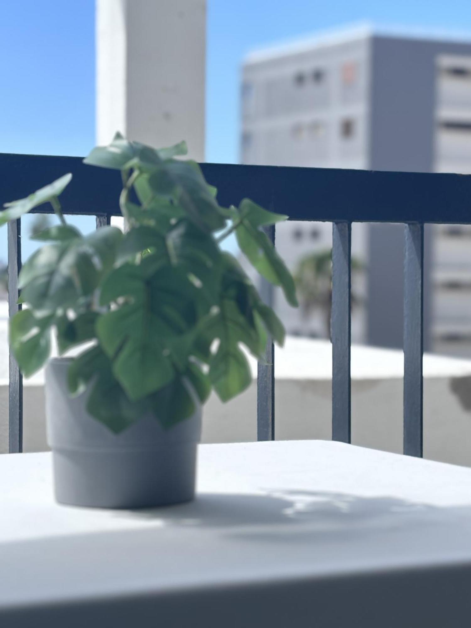 Apartamento Secreto De Mar En Playa De Americas *