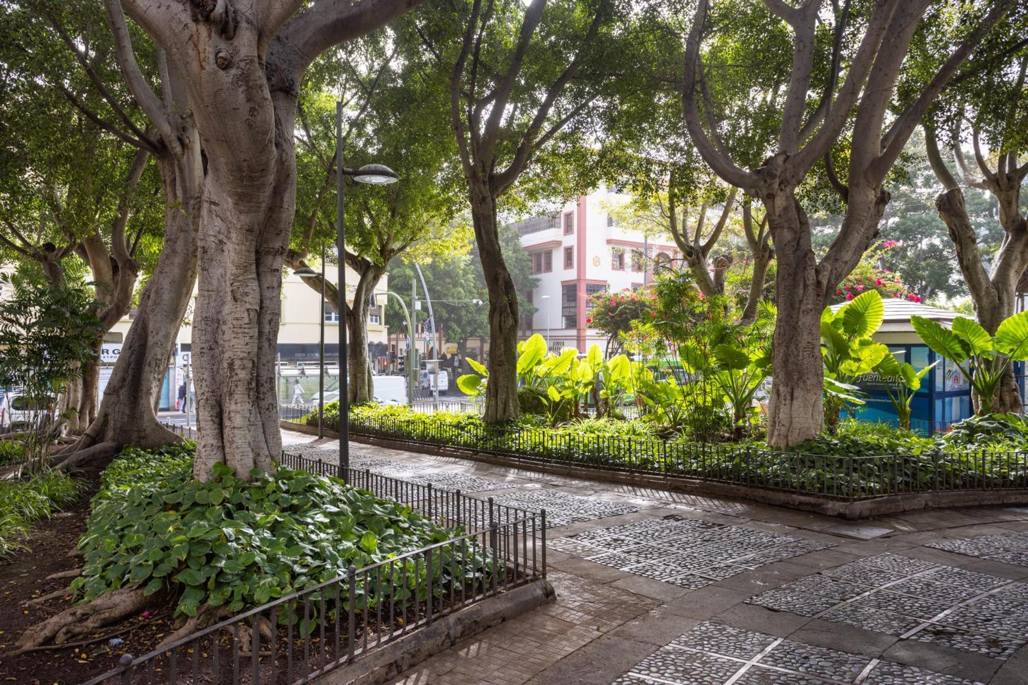 Apartamento Stylish Urban In Santa Cruz, Plaza Militar *