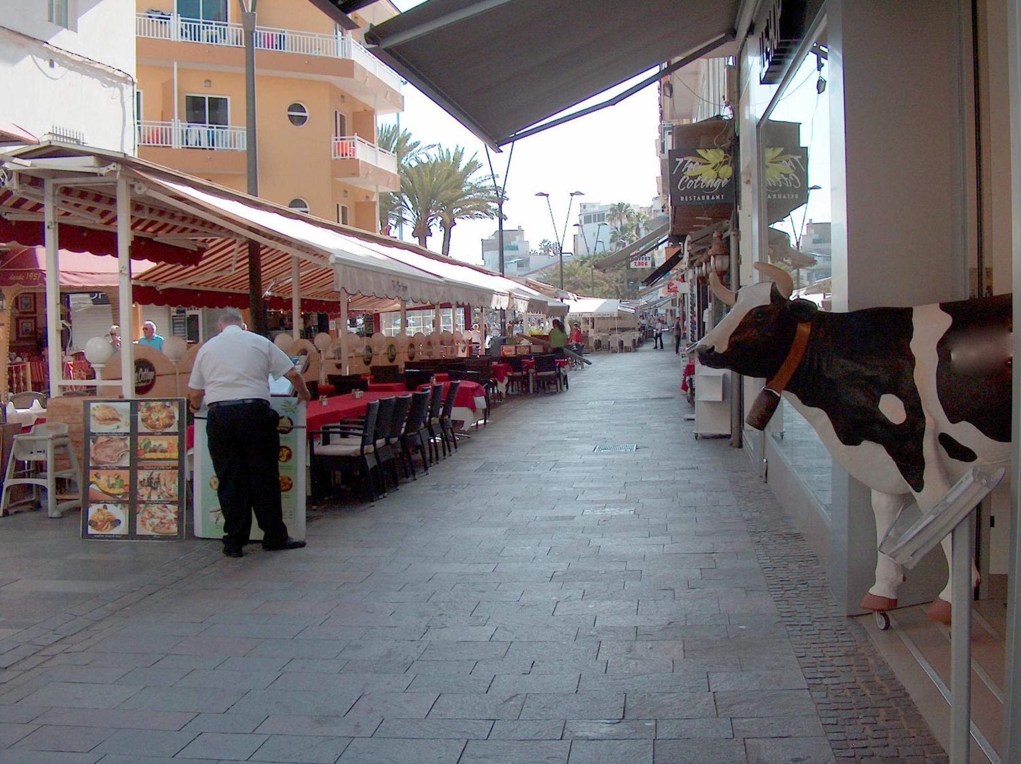Happy Moments In Cristianos