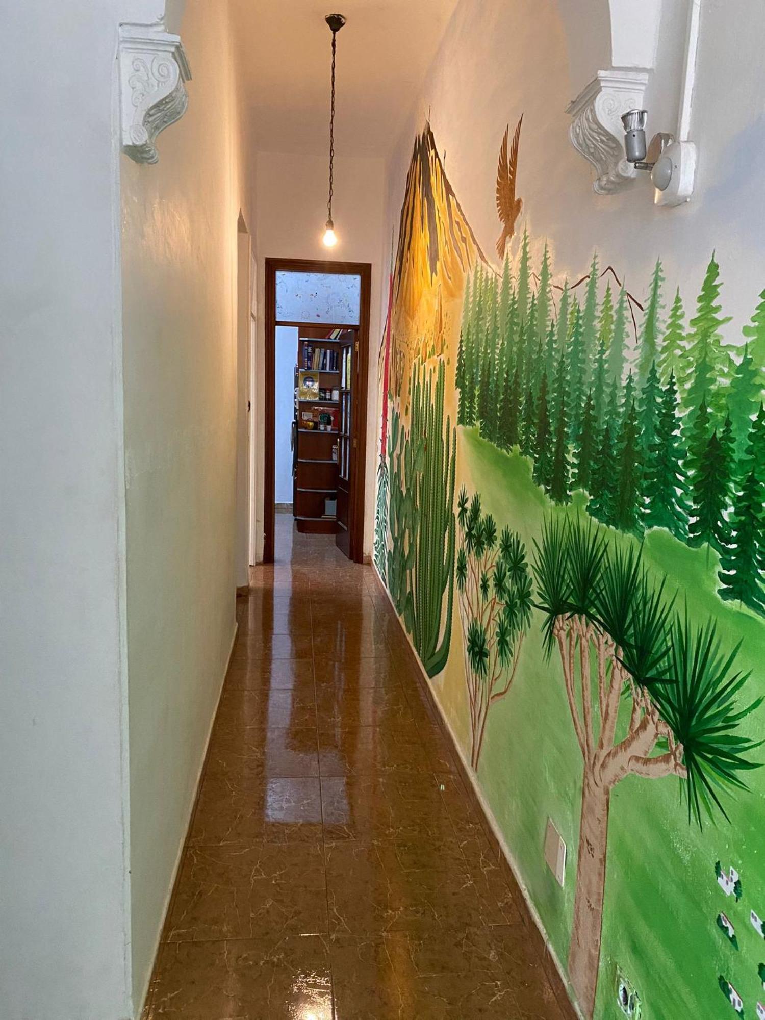 Drago Hostel