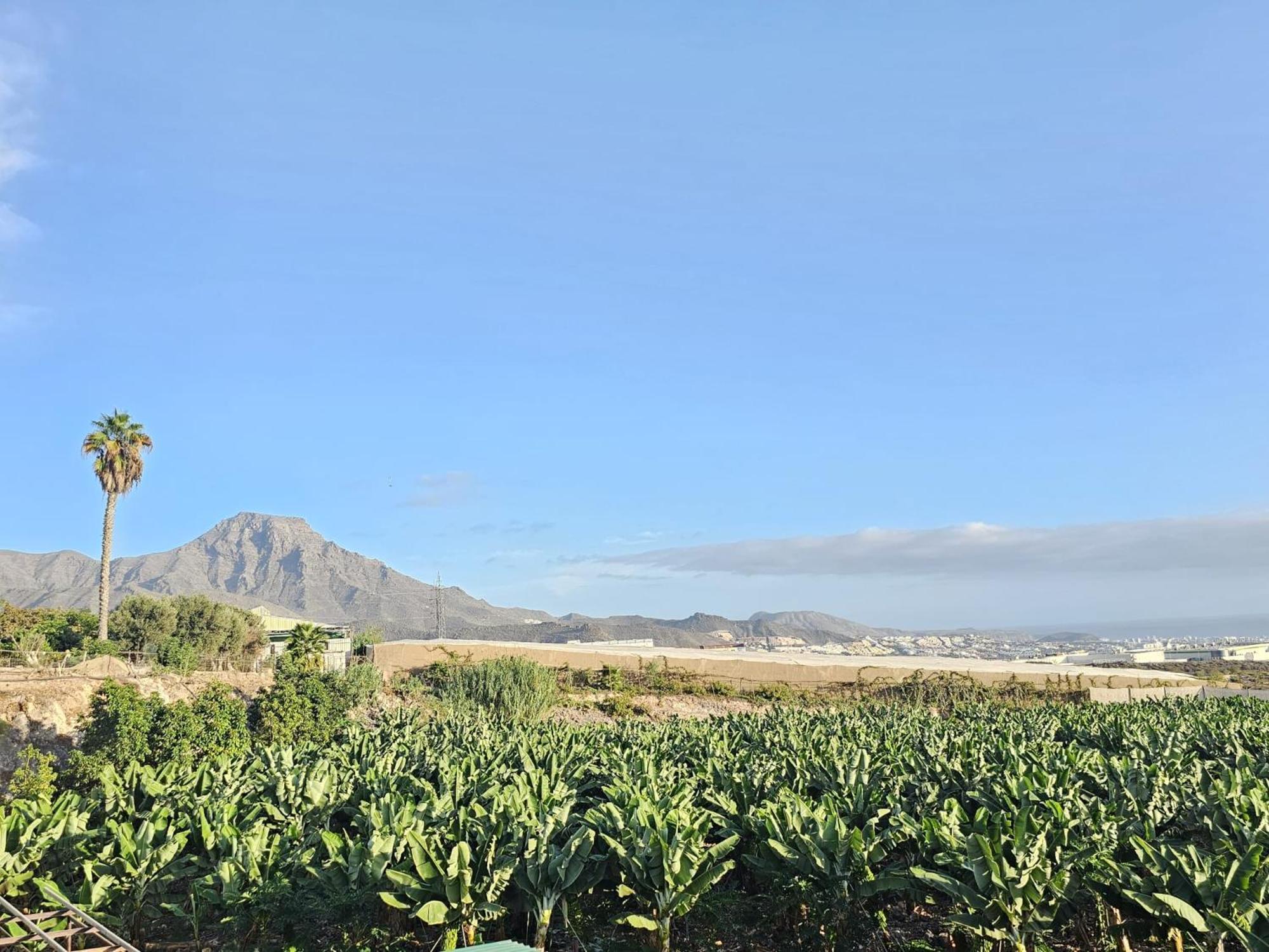 Beautiful Sea View And Pool Atalaya A1, Costa Adeje Appartement Hoya Grande (Tenerife)