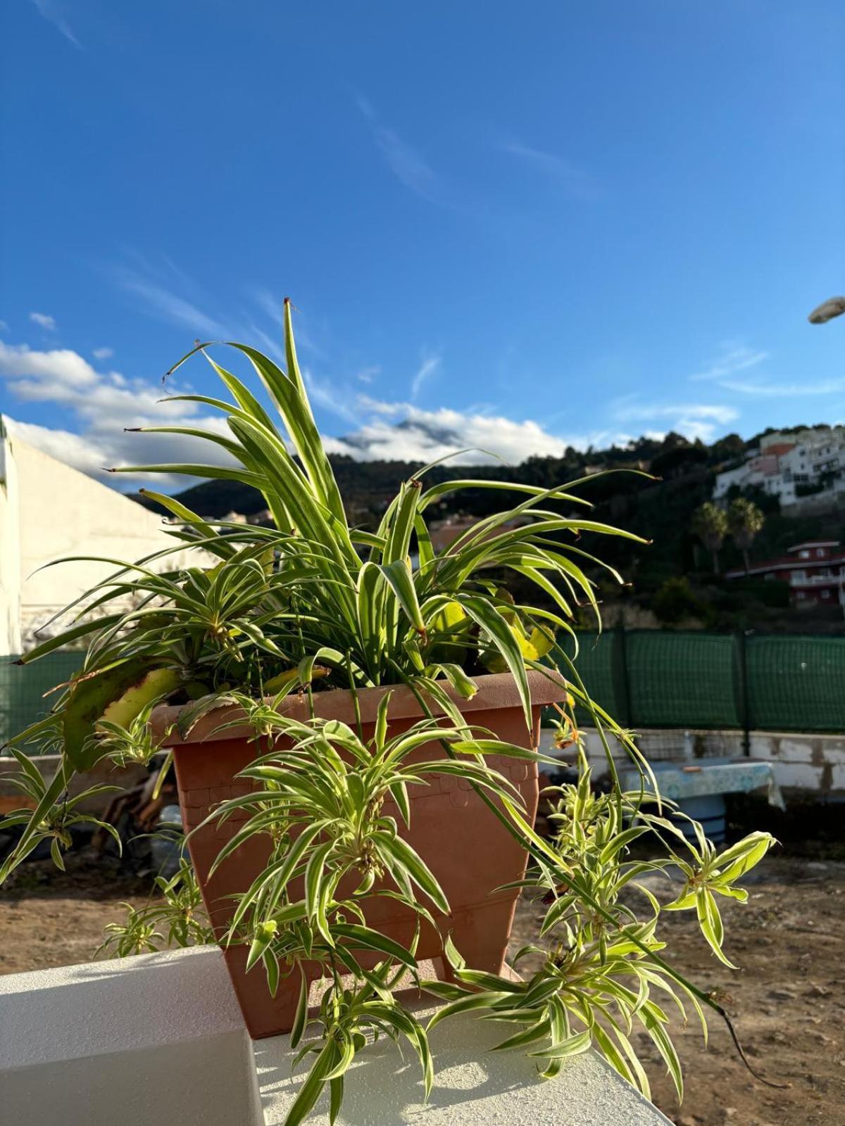 Country house La Trinidad La Guancha