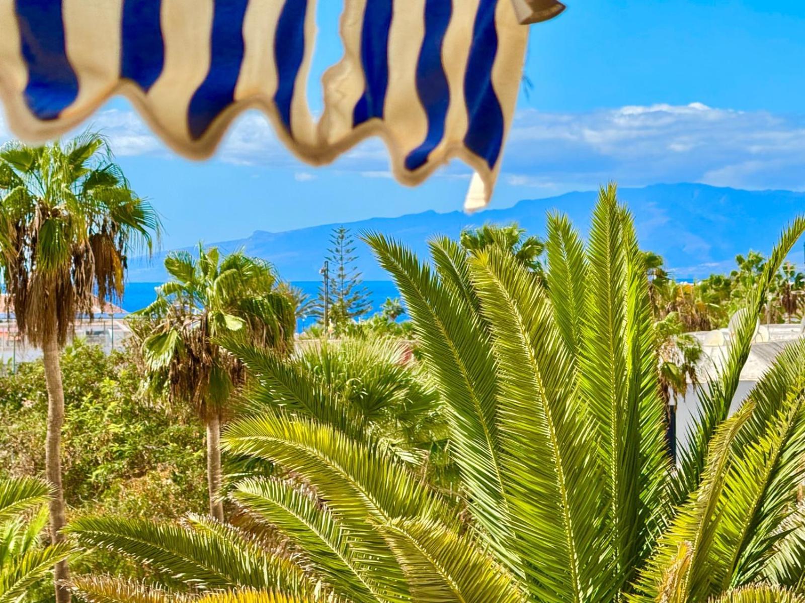 Bluebird Luxury In Americas *