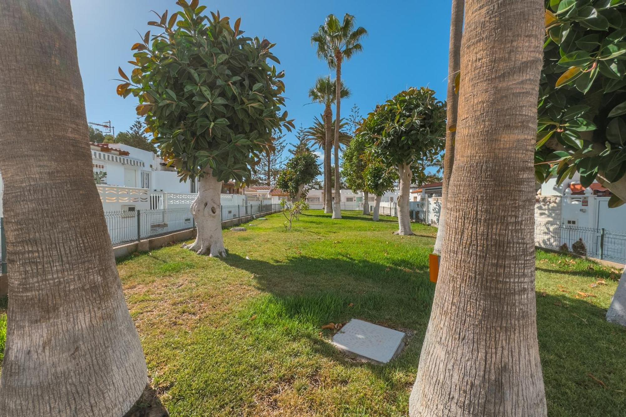 Costa Del Silencio, Wifi, Piscines, Terrasse, Parking, Arona (Tenerife)