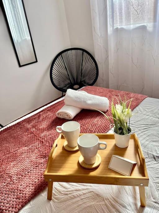 El Paraiso Escondido Hébergement de vacances Santa-Cruz de Ténérife