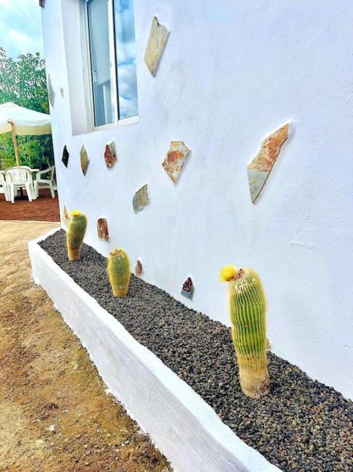 Hébergement de vacances El Paraiso Escondido Santa-Cruz de Ténérife