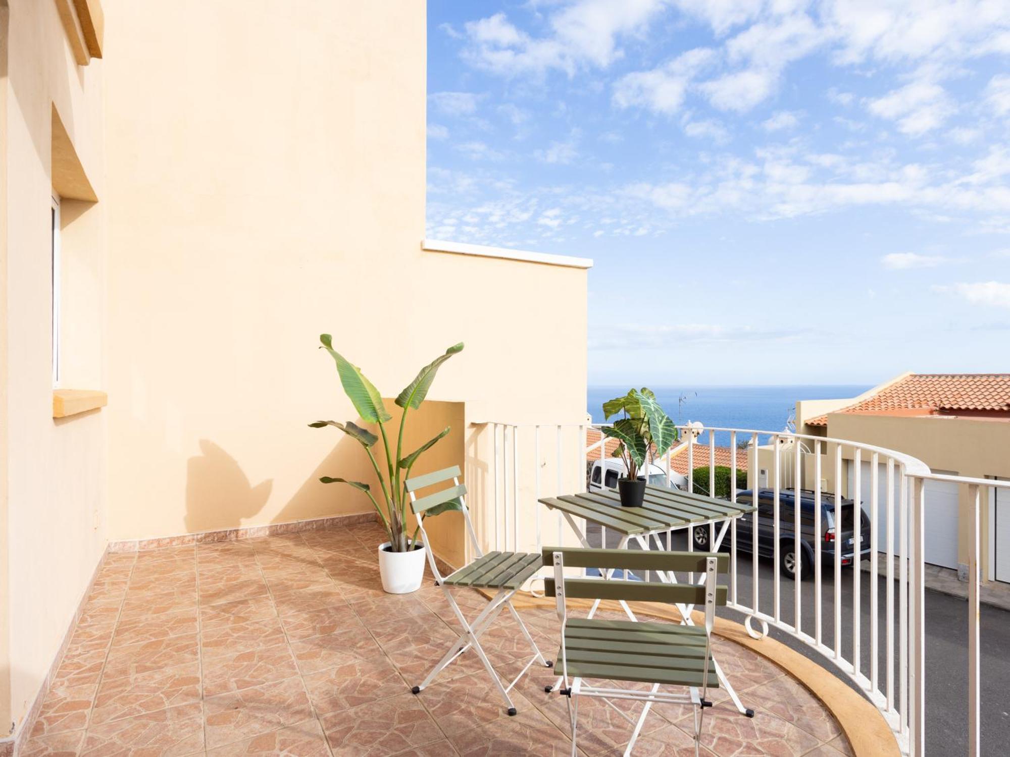 Live Acoran Flamboyan Santa Cruz de Tenerife