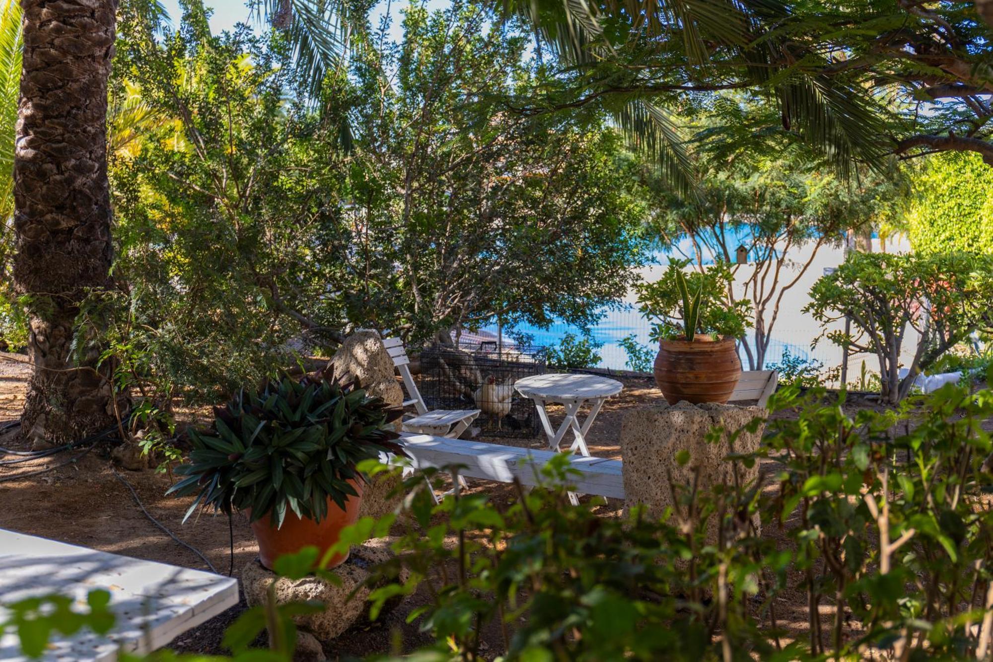Appartement Vista Eden - Cristianos, Ocean View, Grill, Pool