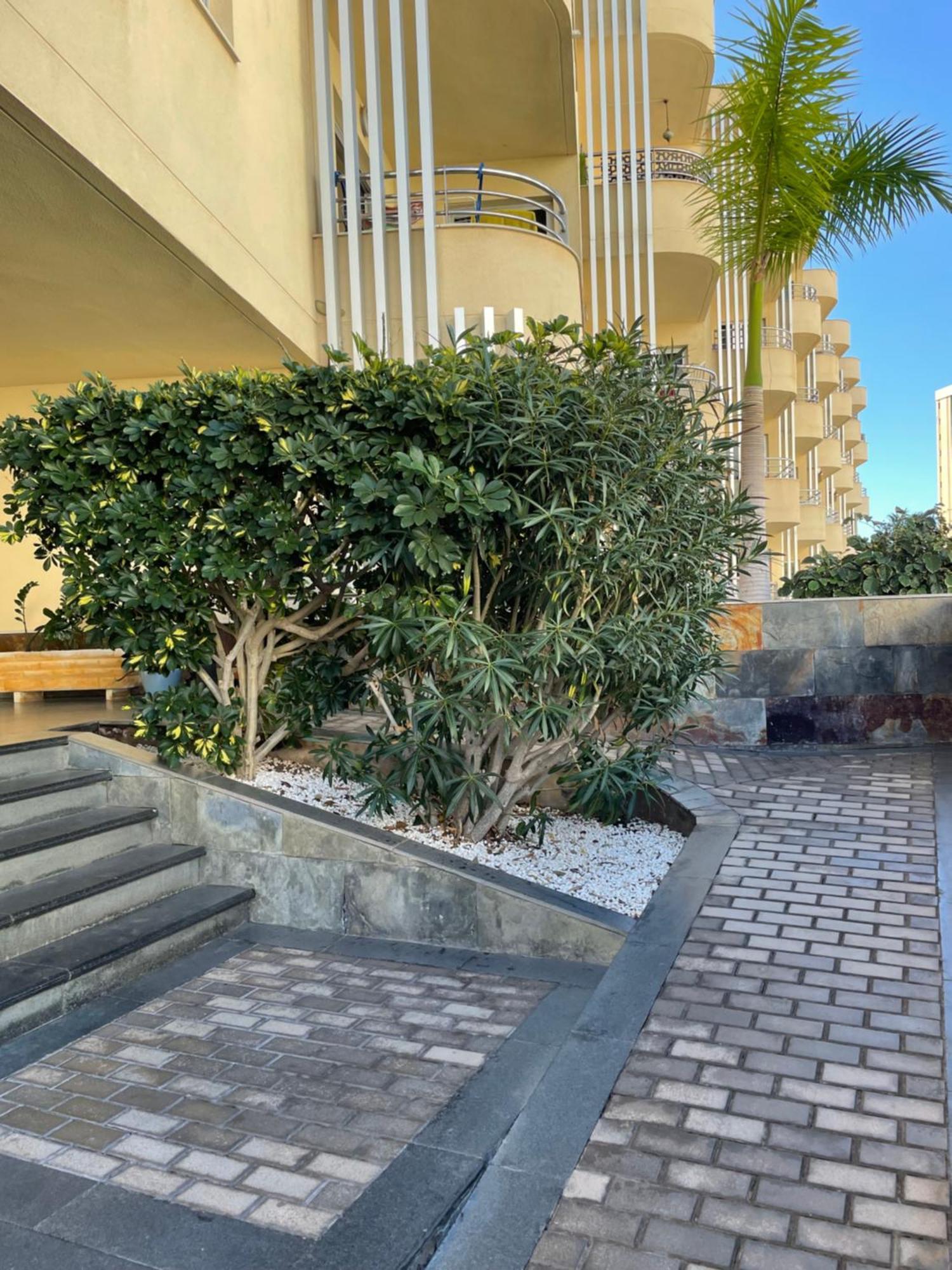 Vue Ocean Apartment