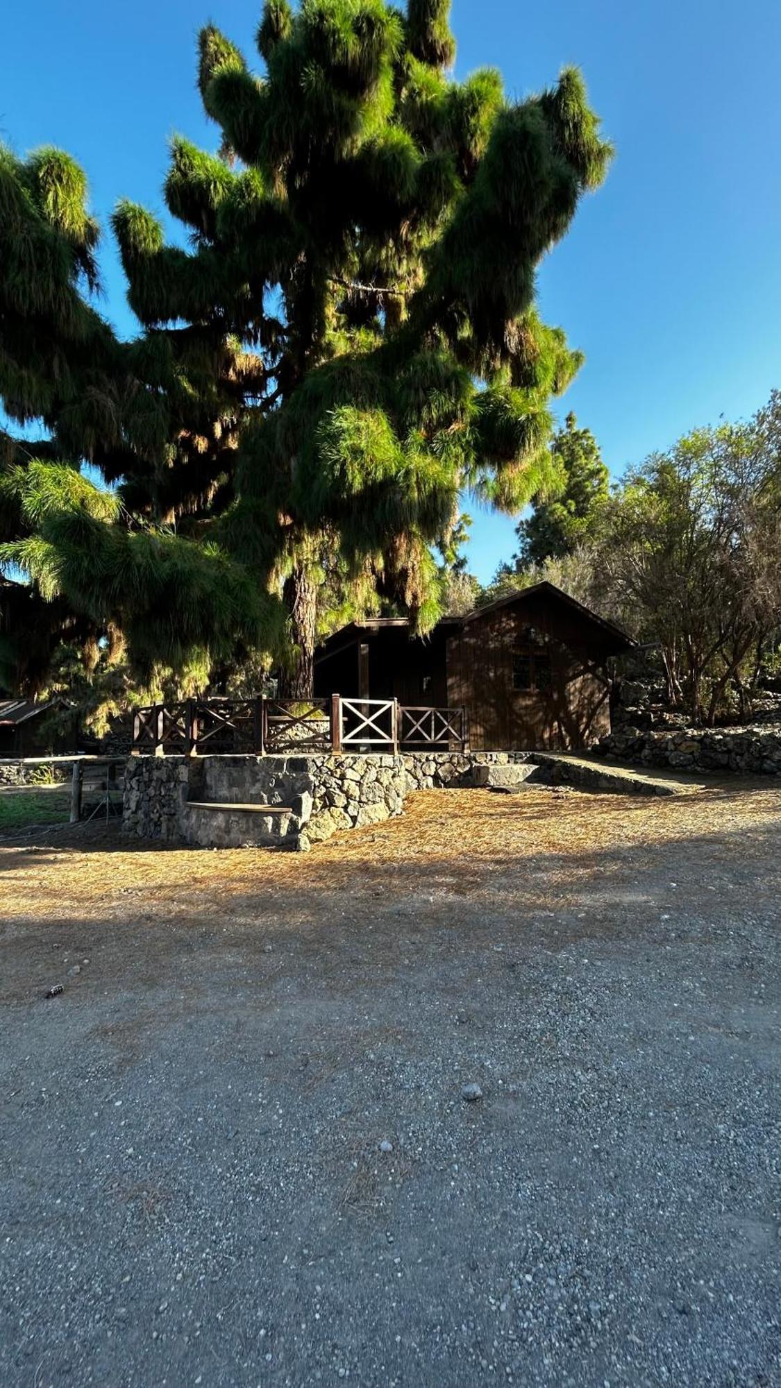 Buen Paso Holiday home Icod De Los Vinos