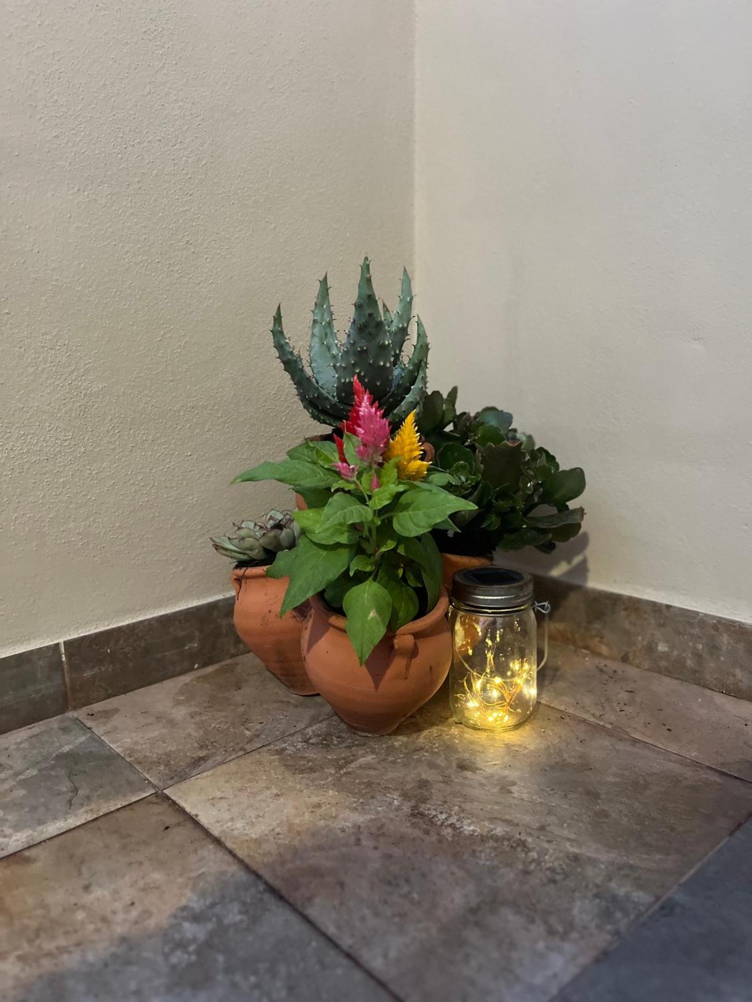 Apartamento Tenerife Sur 2 *