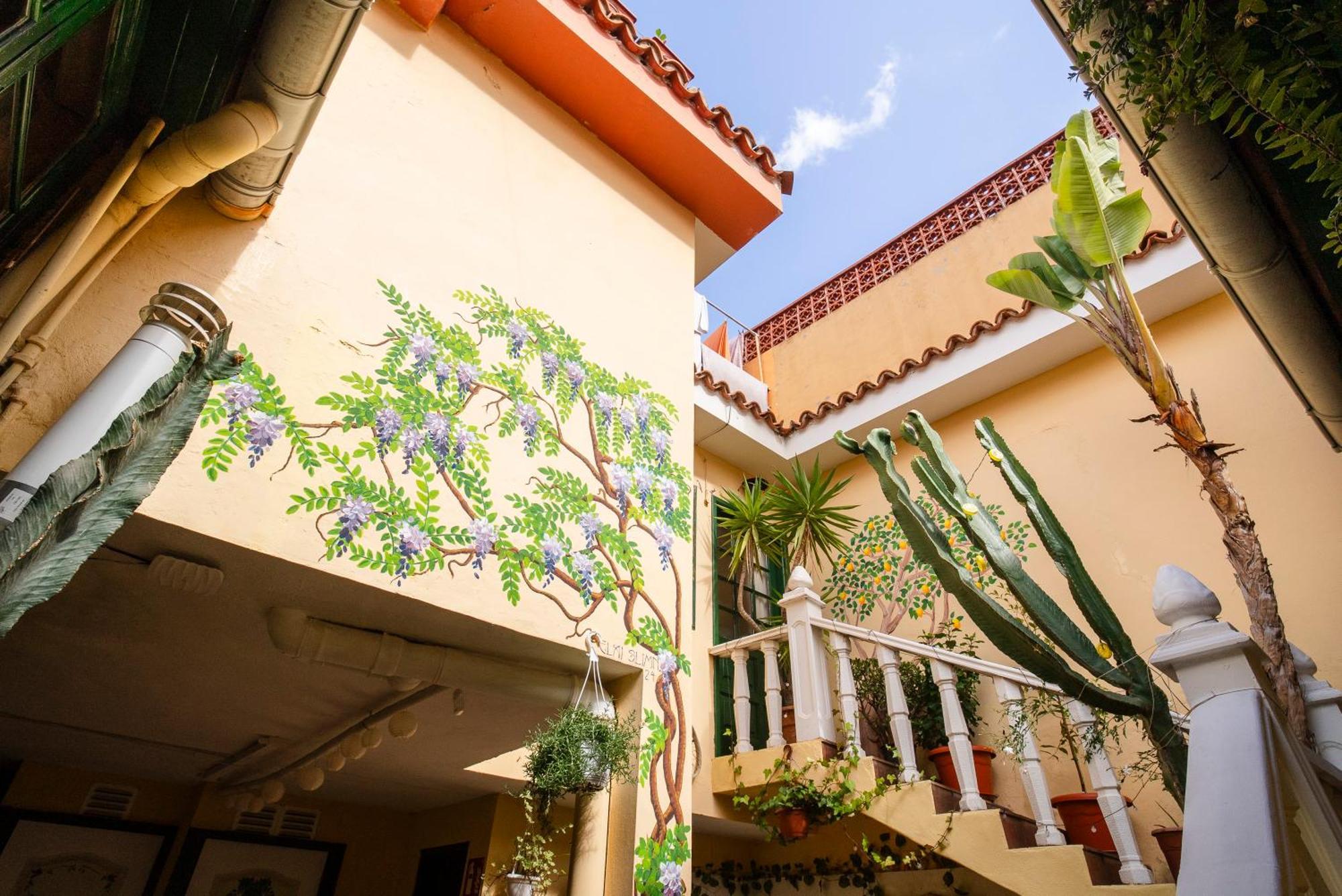 Tenerife Hostel *