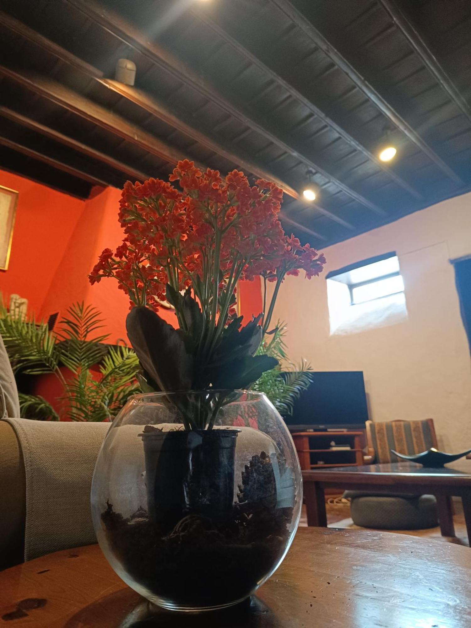 Apartment Ilusion *