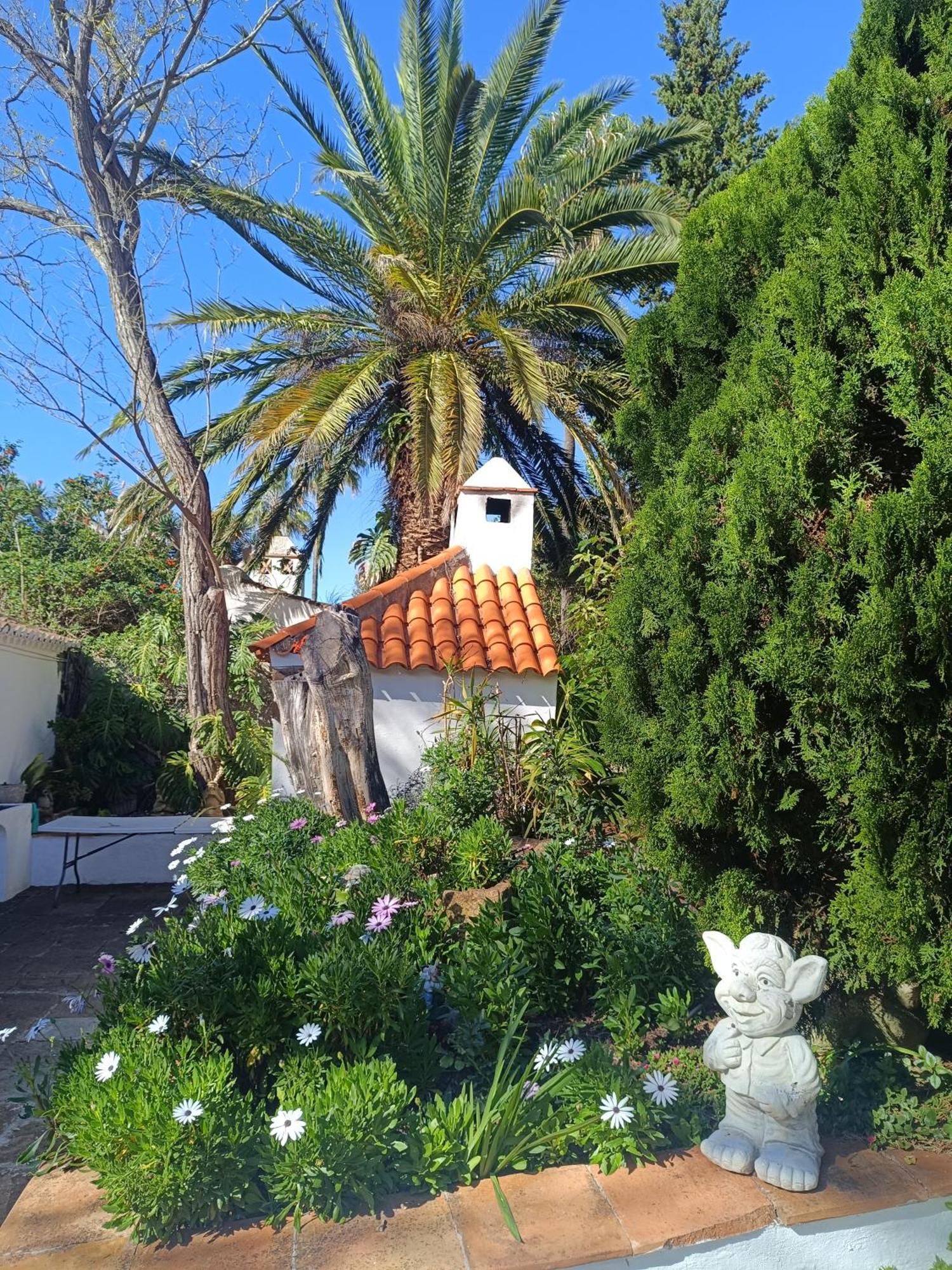 Apartment Ilusion Tacoronte