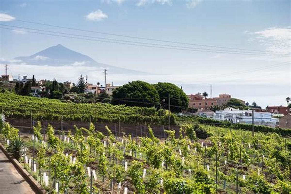 Rural House Tenerife Relax And Enjoy Country house *