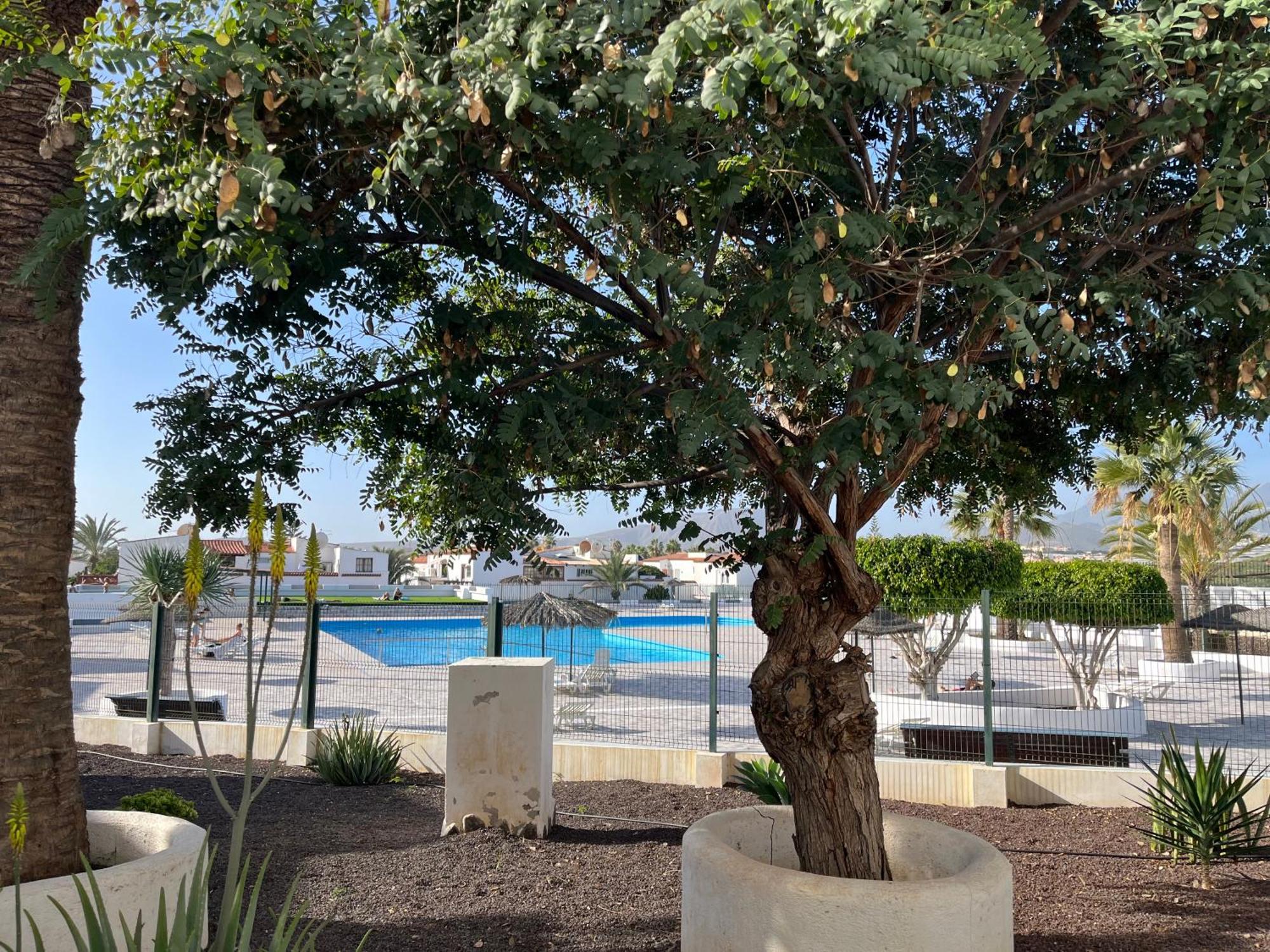 Apartment Casa Guay Welcome To Your In The Sun!