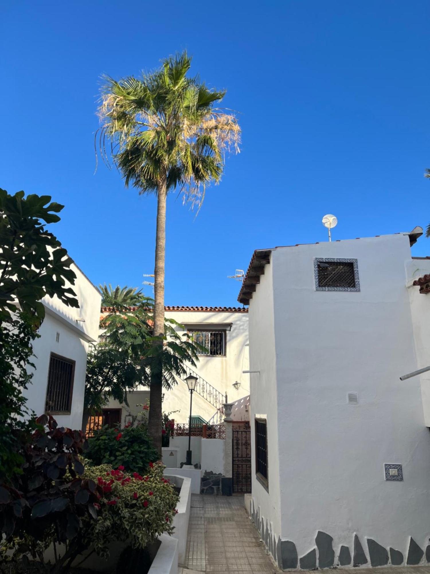 Casa Guay Welcome To Your In The Sun! * Costa Del Silencio