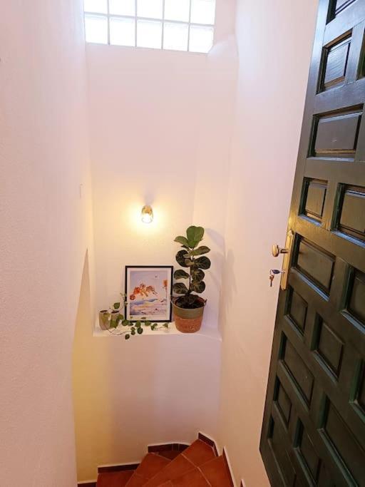 Bellavista Basement Arona (Tenerife)