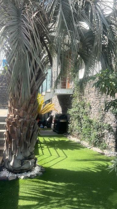 Jardin Secreto De Tabaiba