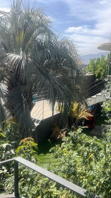 Villa Jardin Secreto De *