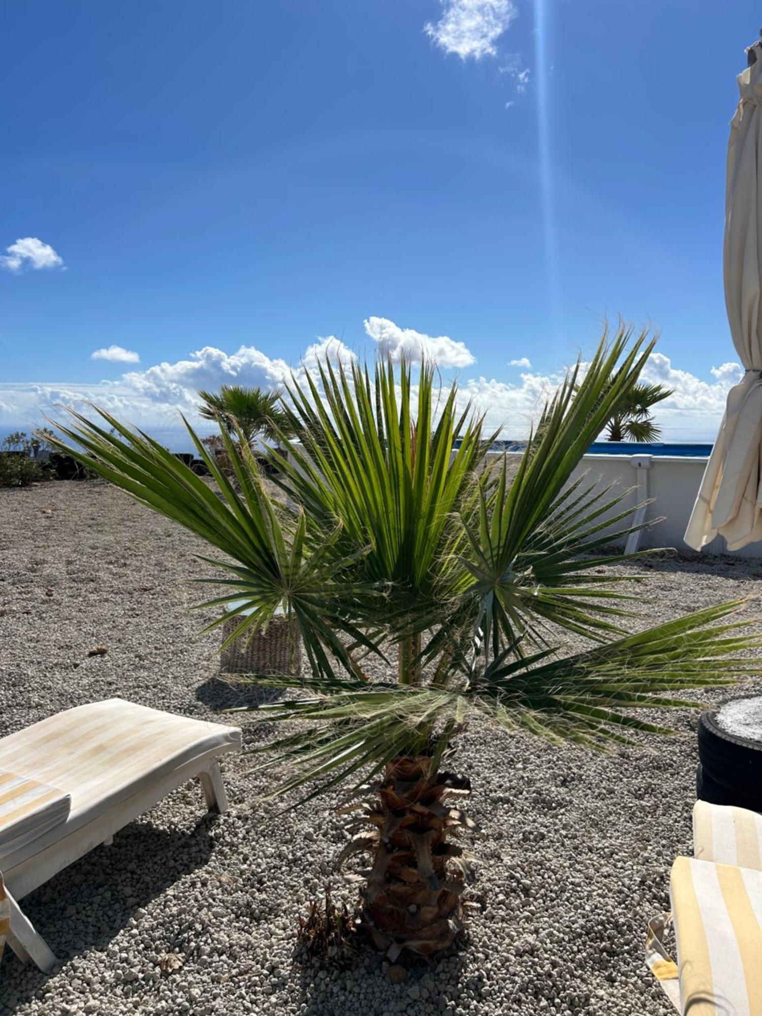 Casa Mirador Appartement *