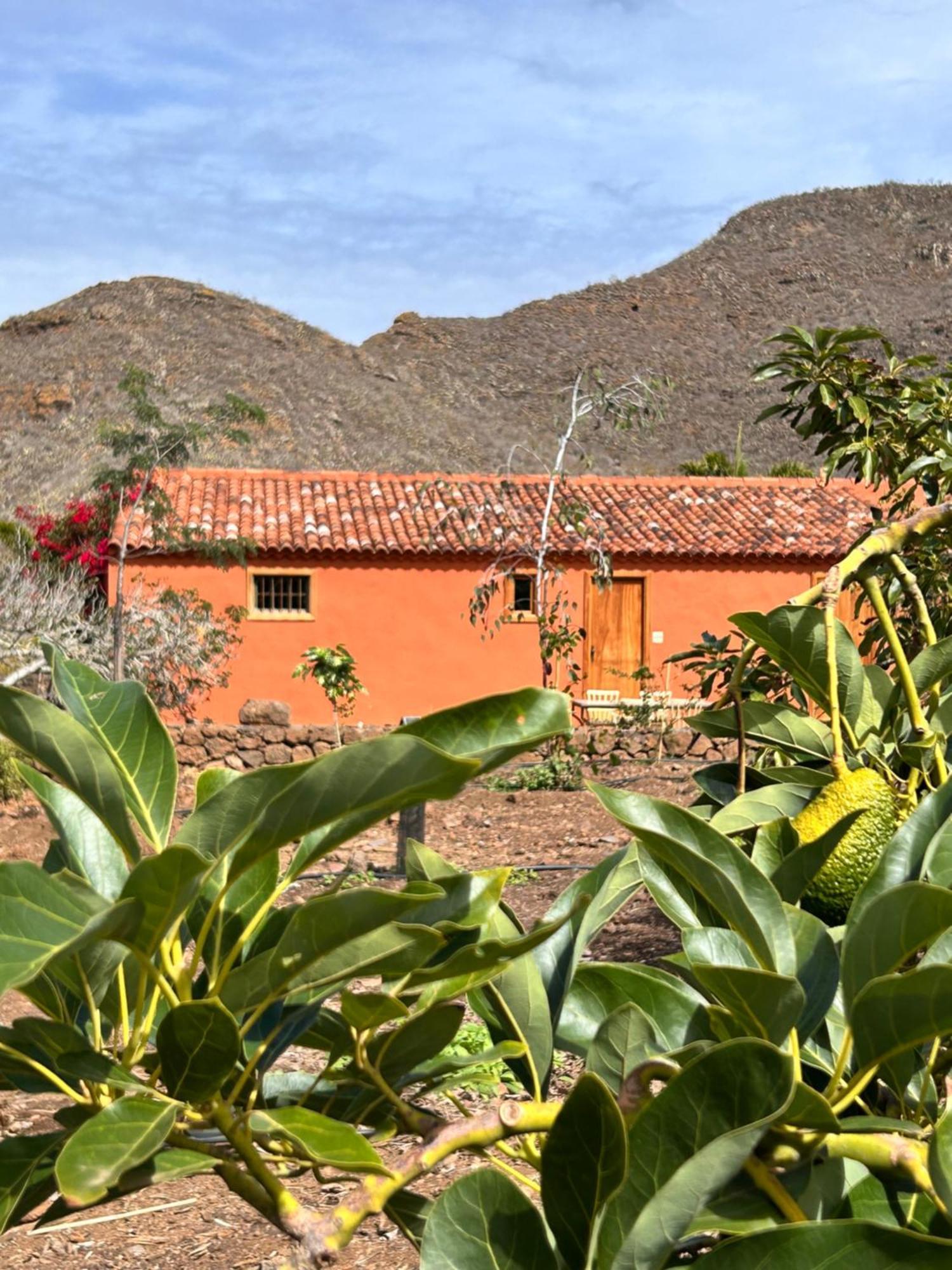 Haciendas Del Valle-montemayor