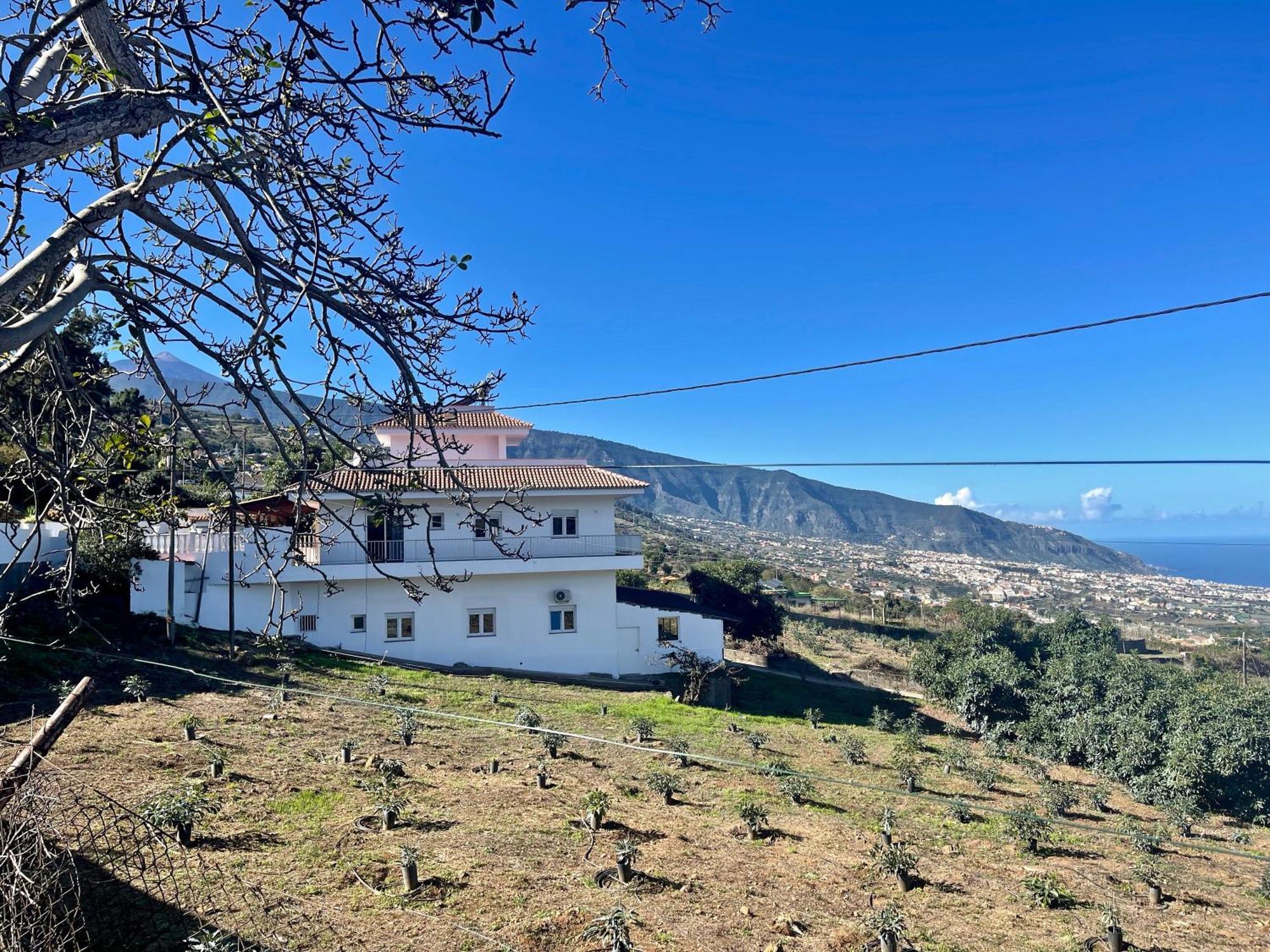 Ecologica Days * La Orotava