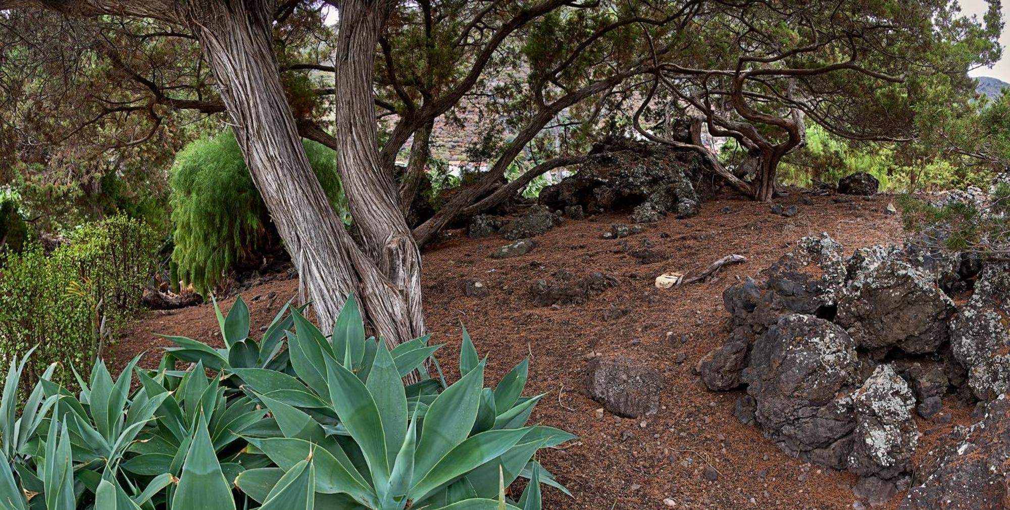 Villa Sabinas - El Guincho, Garachico Garachico (Tenerife)