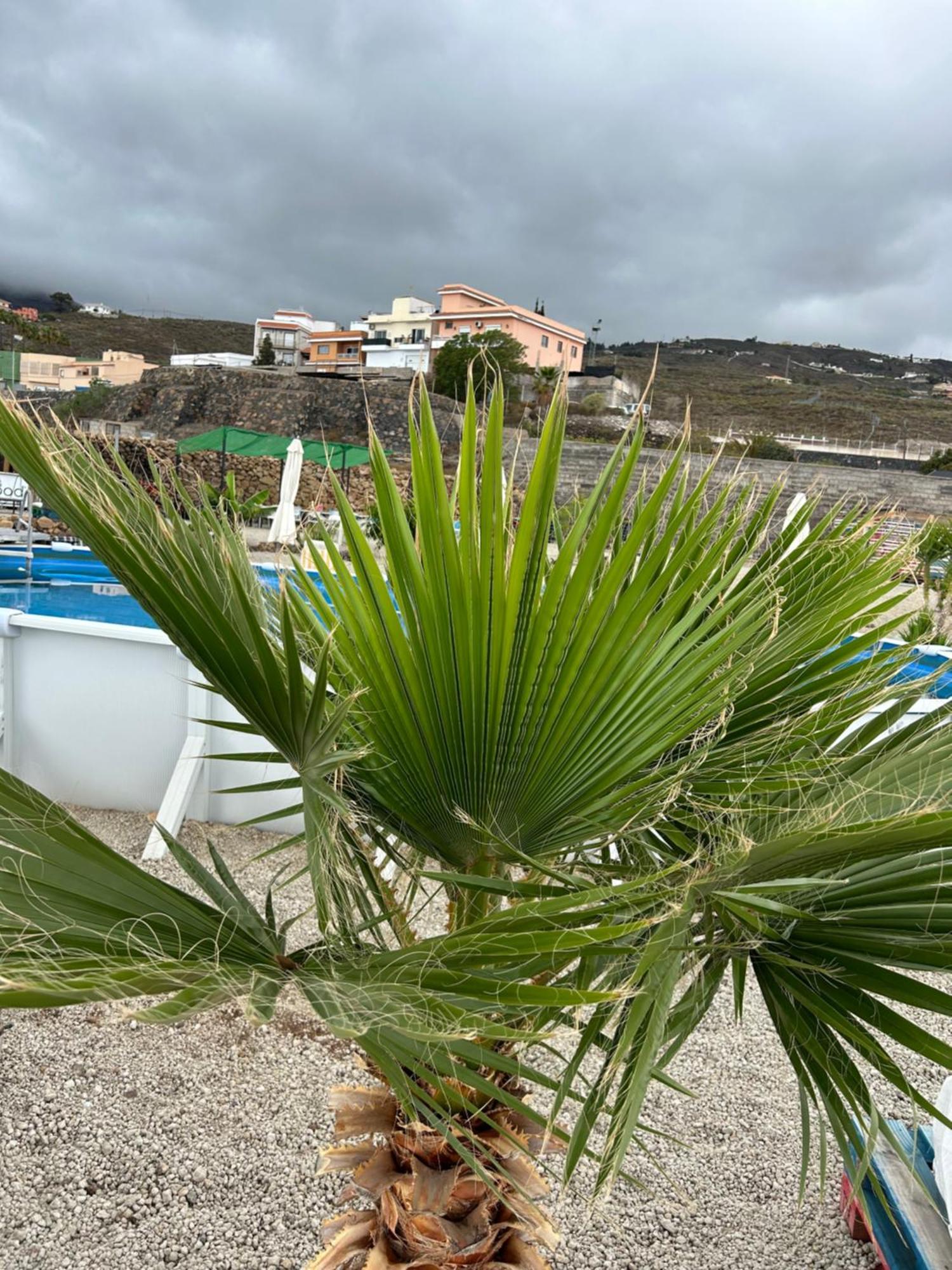 Appartement Casa Mirador Arona (Tenerife)