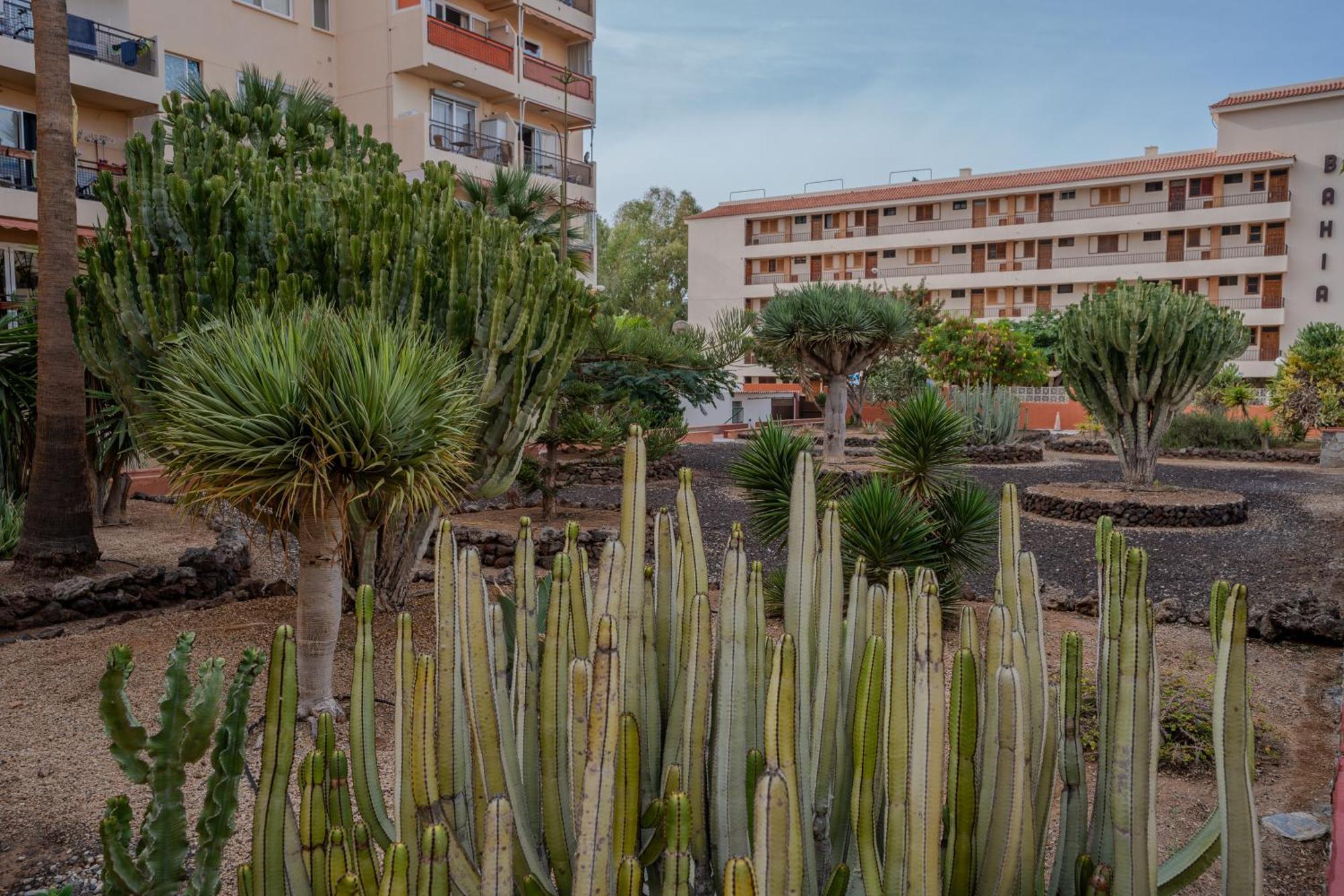 Apartment Cristianos - Cris Sol Los Cristianos (Tenerife)