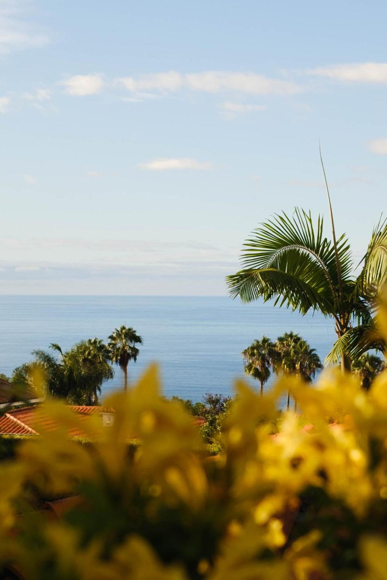 Casa Papaya Villa La Orotava