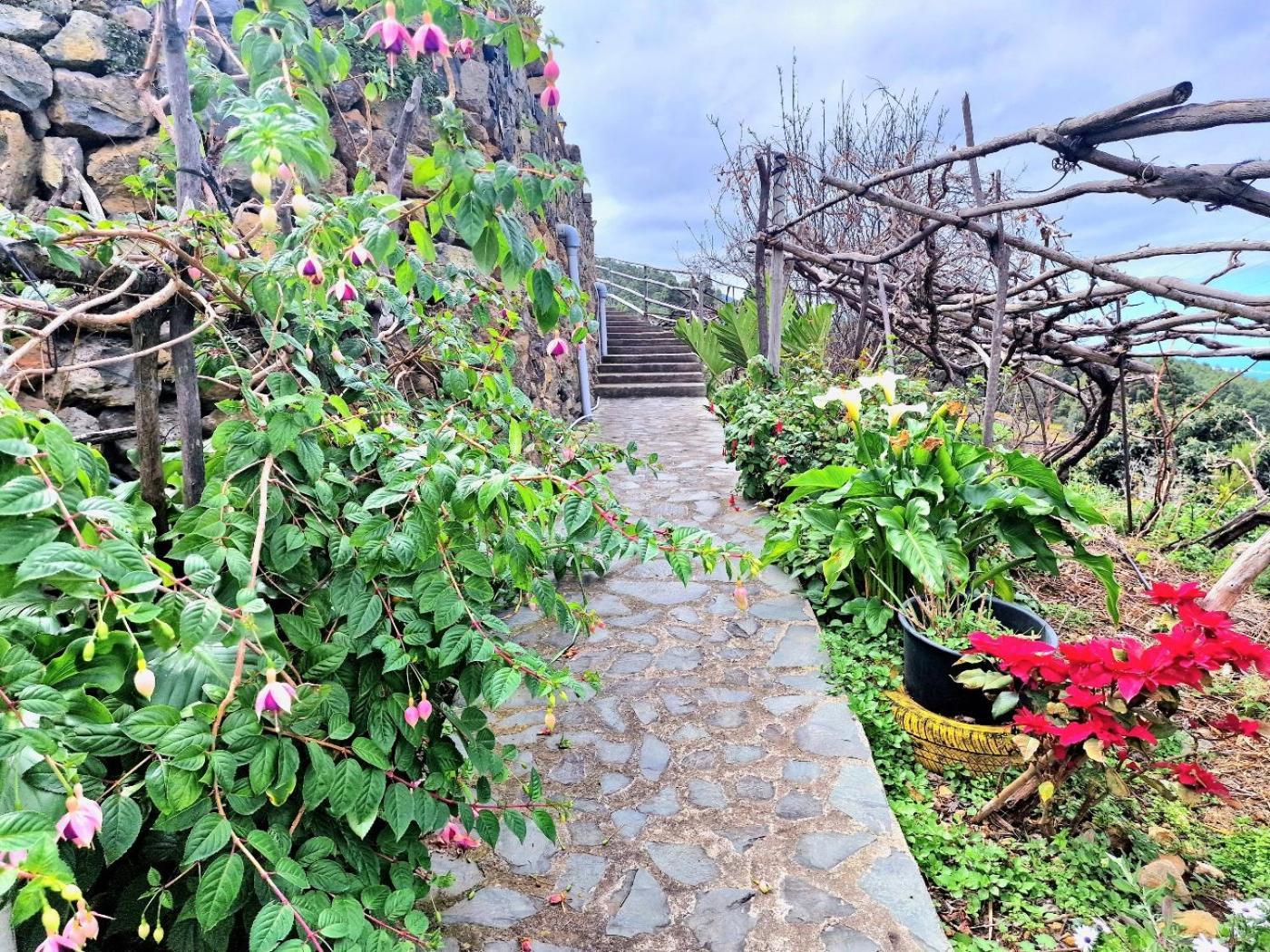 Chalet Mountain Rural House Teide Volcano By Hrtenerife Net Icod De Los Vinos
