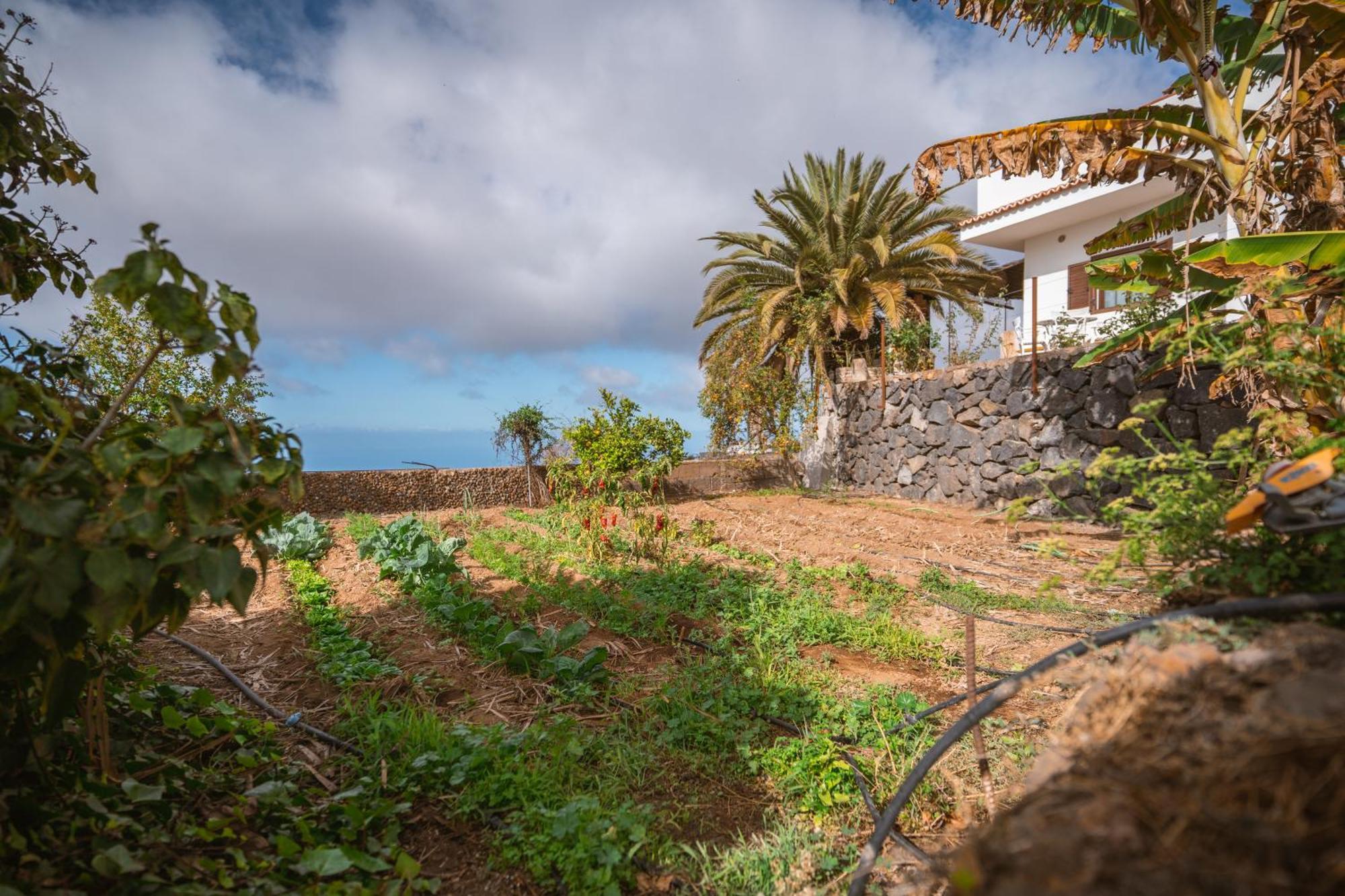 The Lemon Factory Chalet Chío