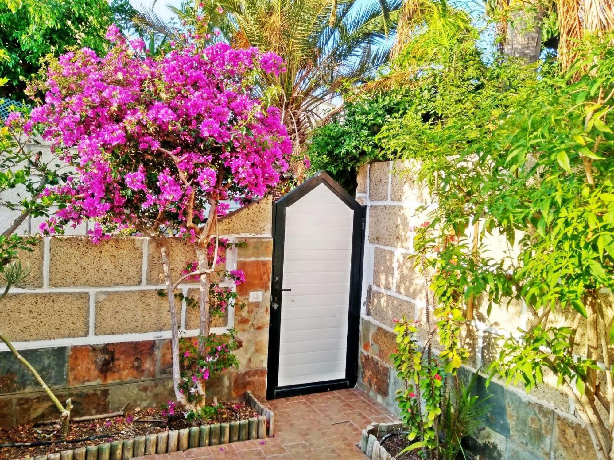 Very Well Maintained House In Chayofa, The Sunny South Of Tenerife * Chayofa