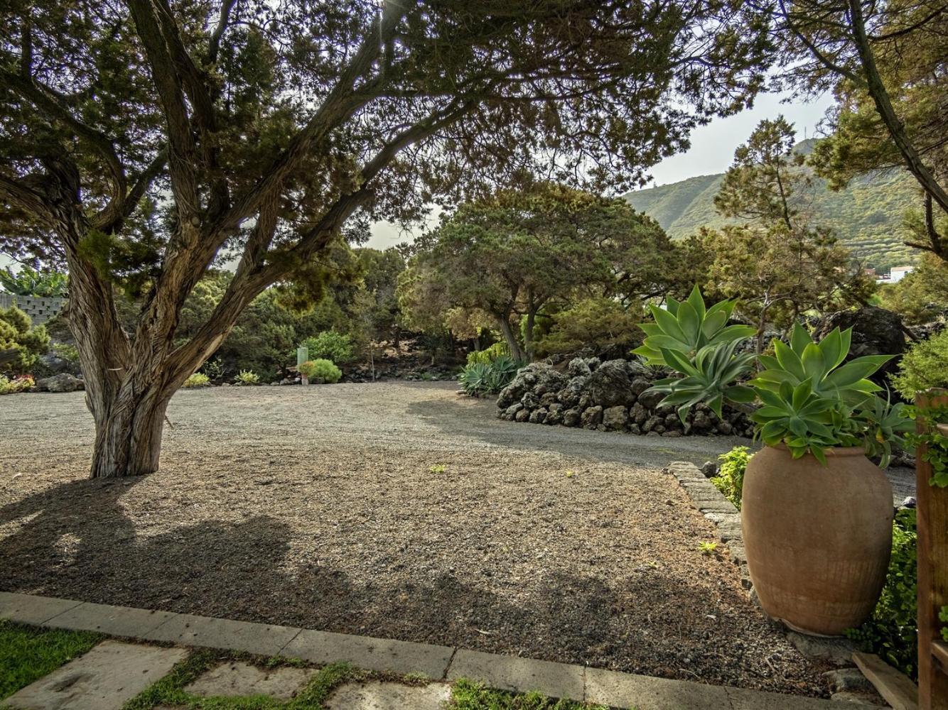 Sabinas - El Guincho, Garachico