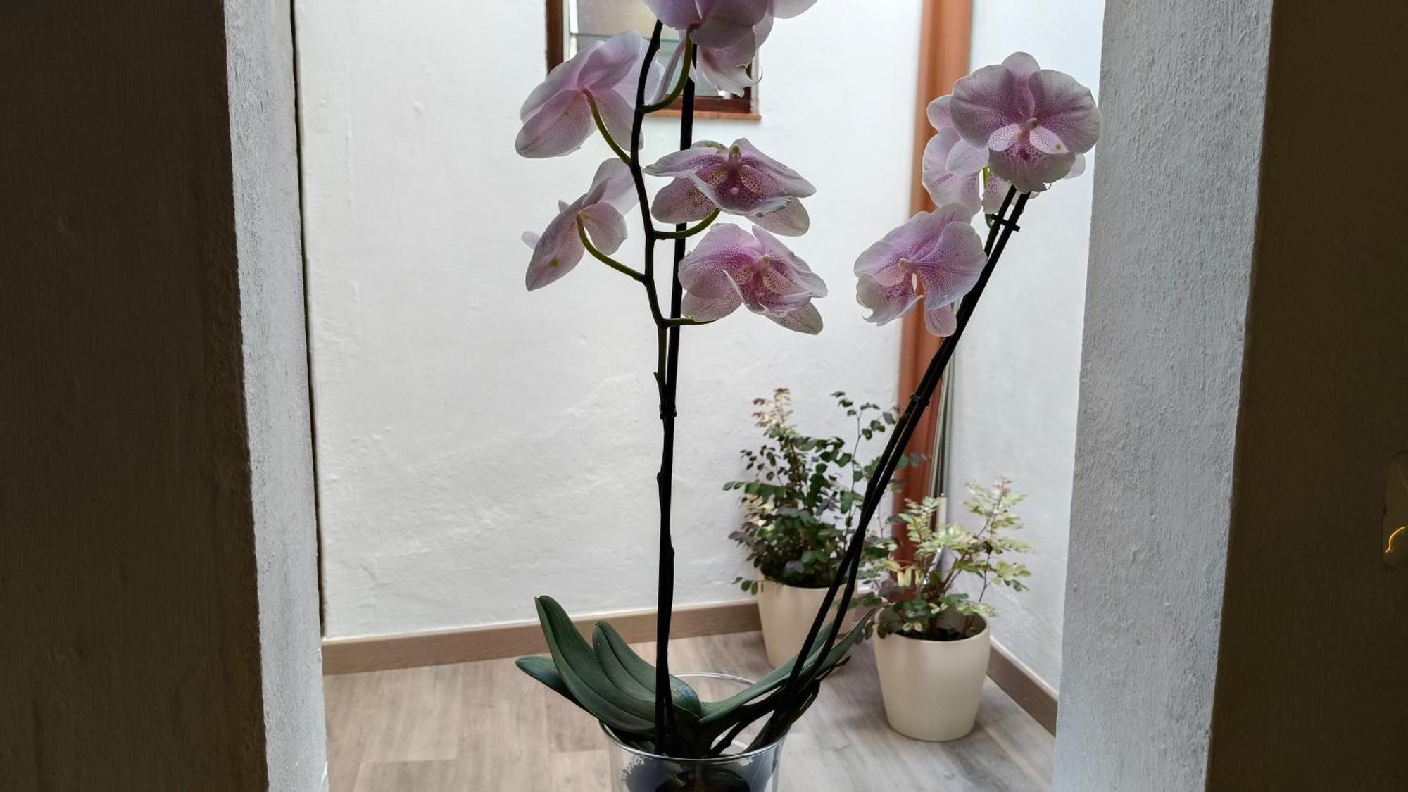 Сasa de vacaciones Casa Cecilia