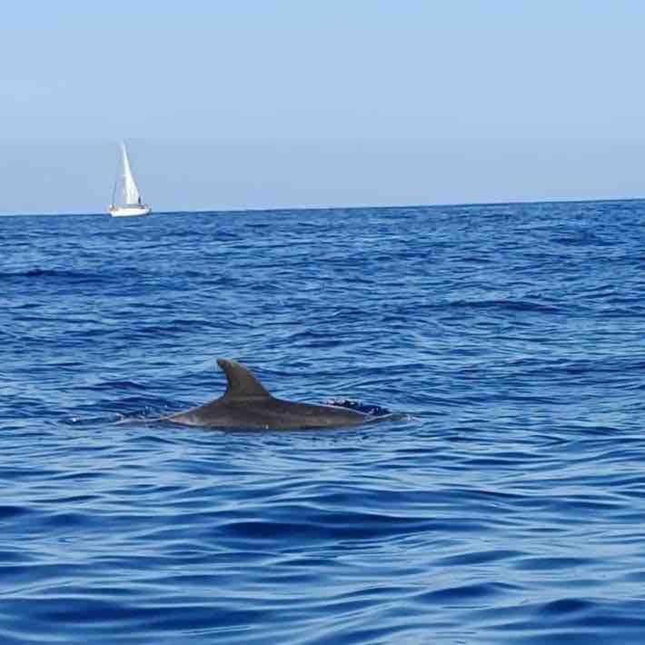 Apartamento House With Jacuzzi In Costa Adeje Costa Adeje (Tenerife)