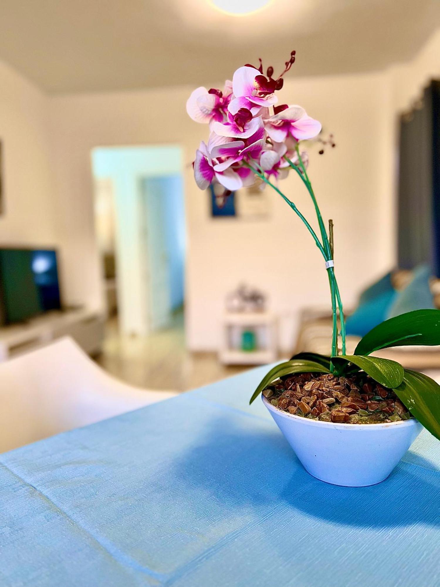 Appartement Primavera *