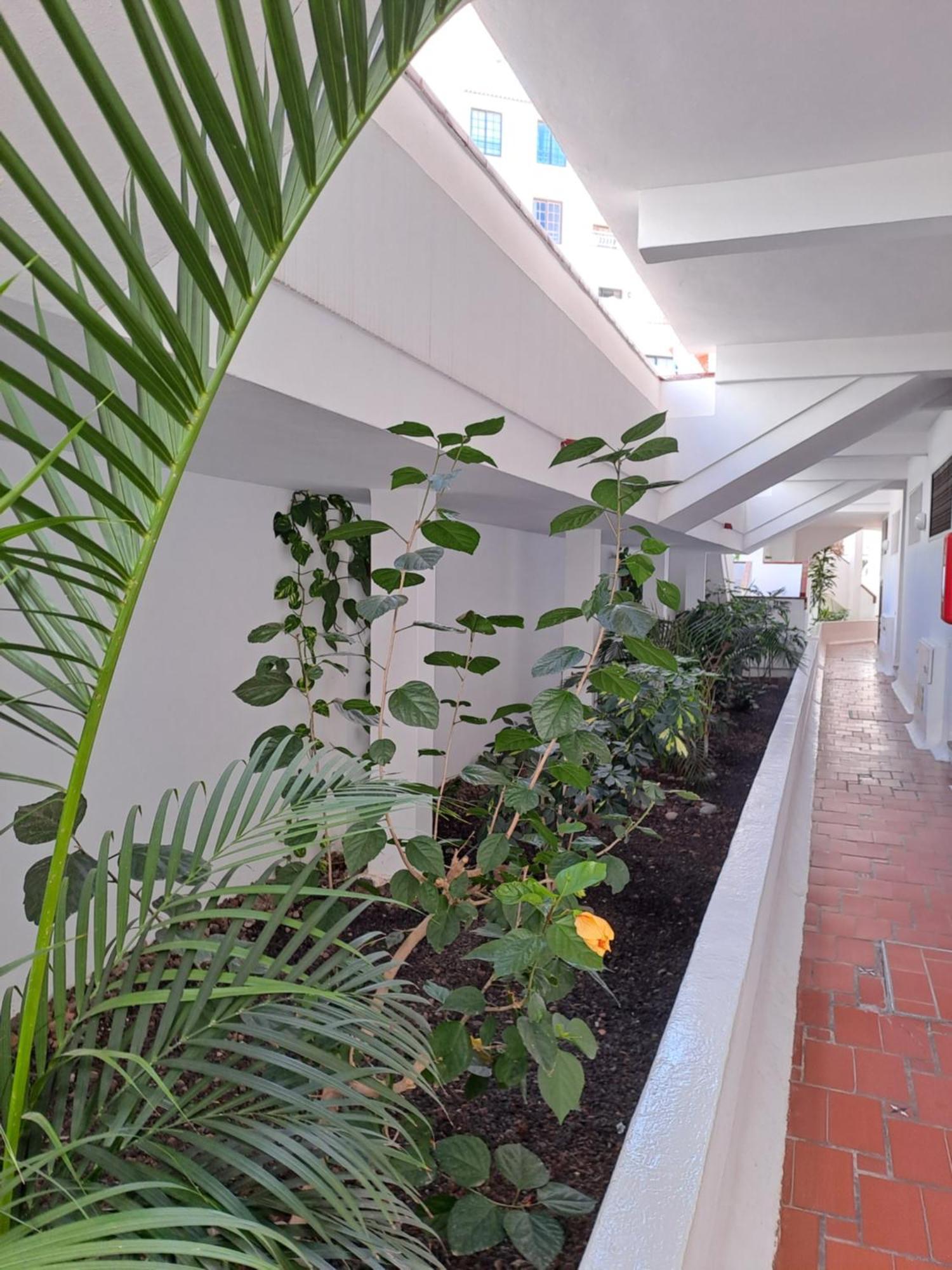 Ancora Home, Diamantes, Tenerife