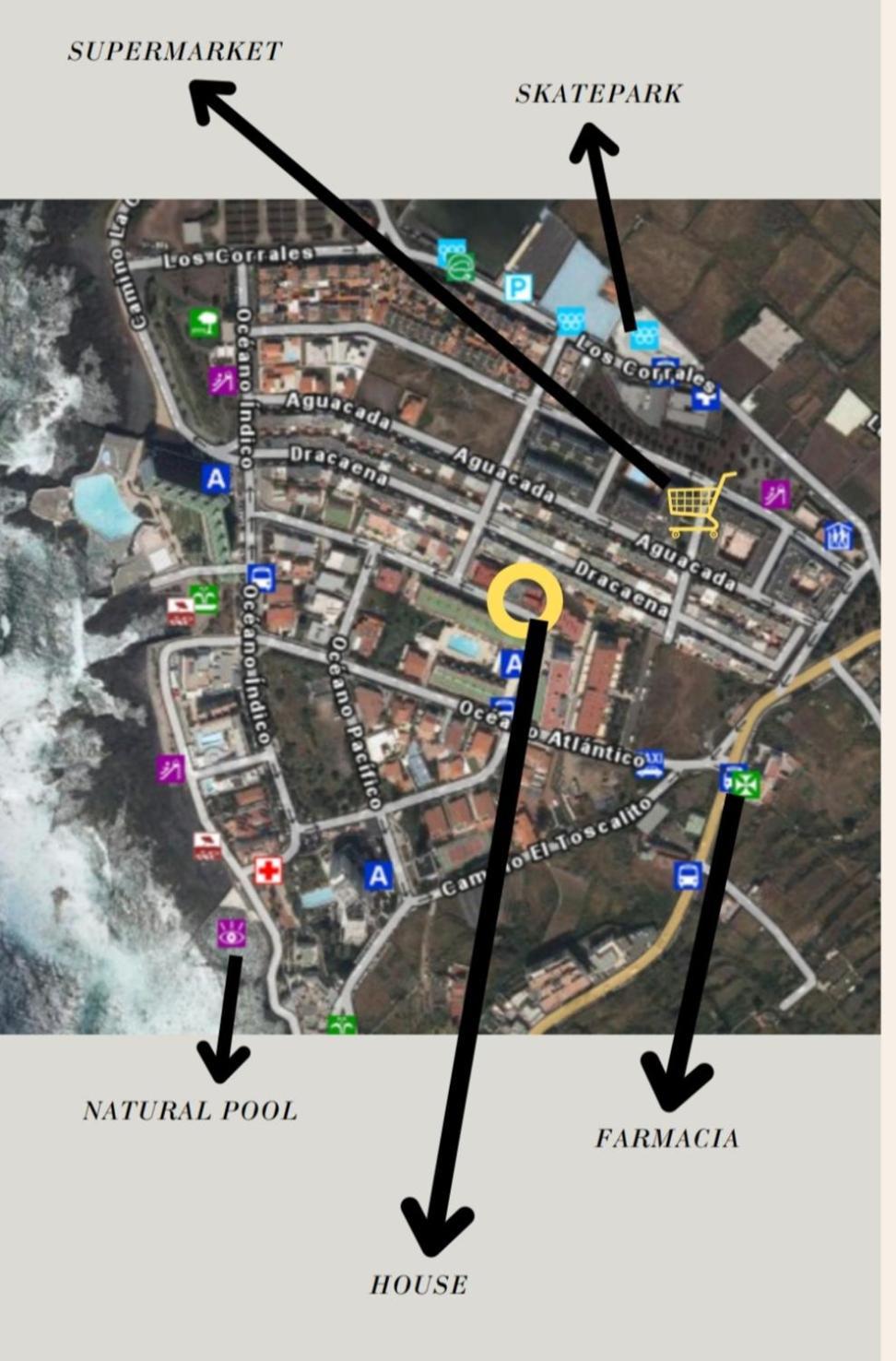 Oceano Punta Del Hidalgo