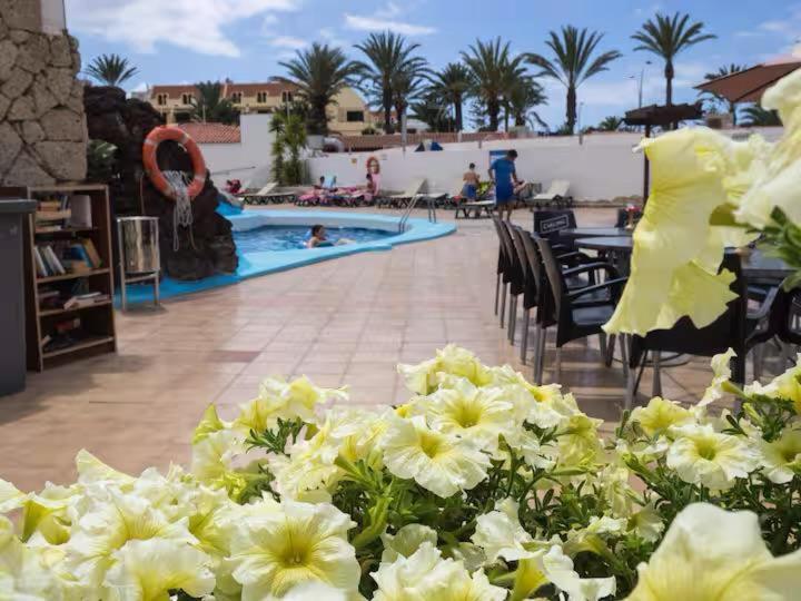 Apartment In Playa De Americas 1 Playa de las Americas (Tenerife)