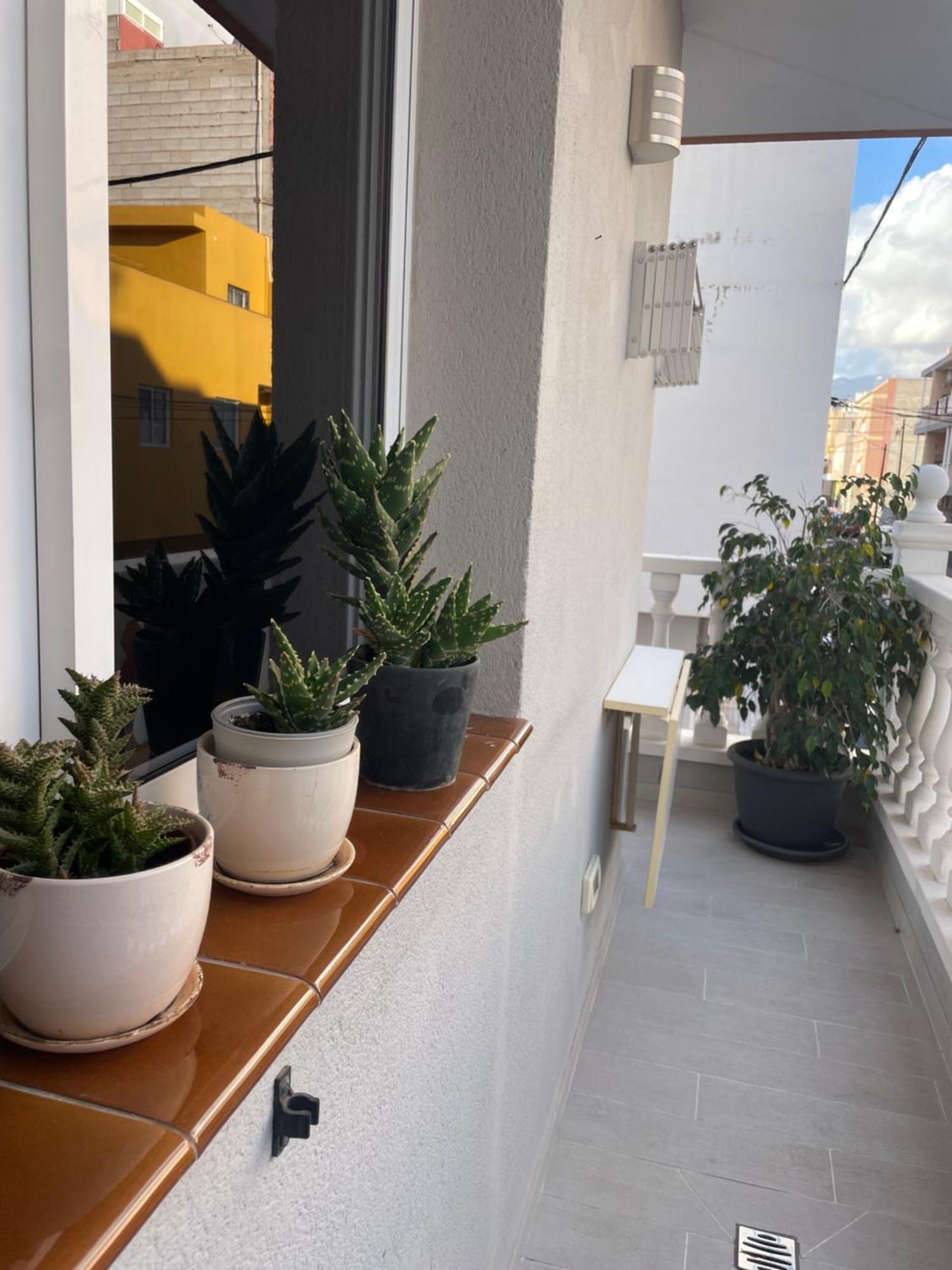 Apartamento Rincon De Adam *
