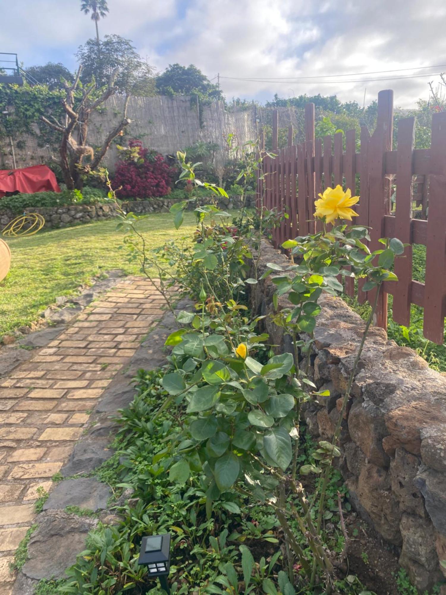Rural House To Take A Break, La Serreria 25 - Private Garden Holiday home *
