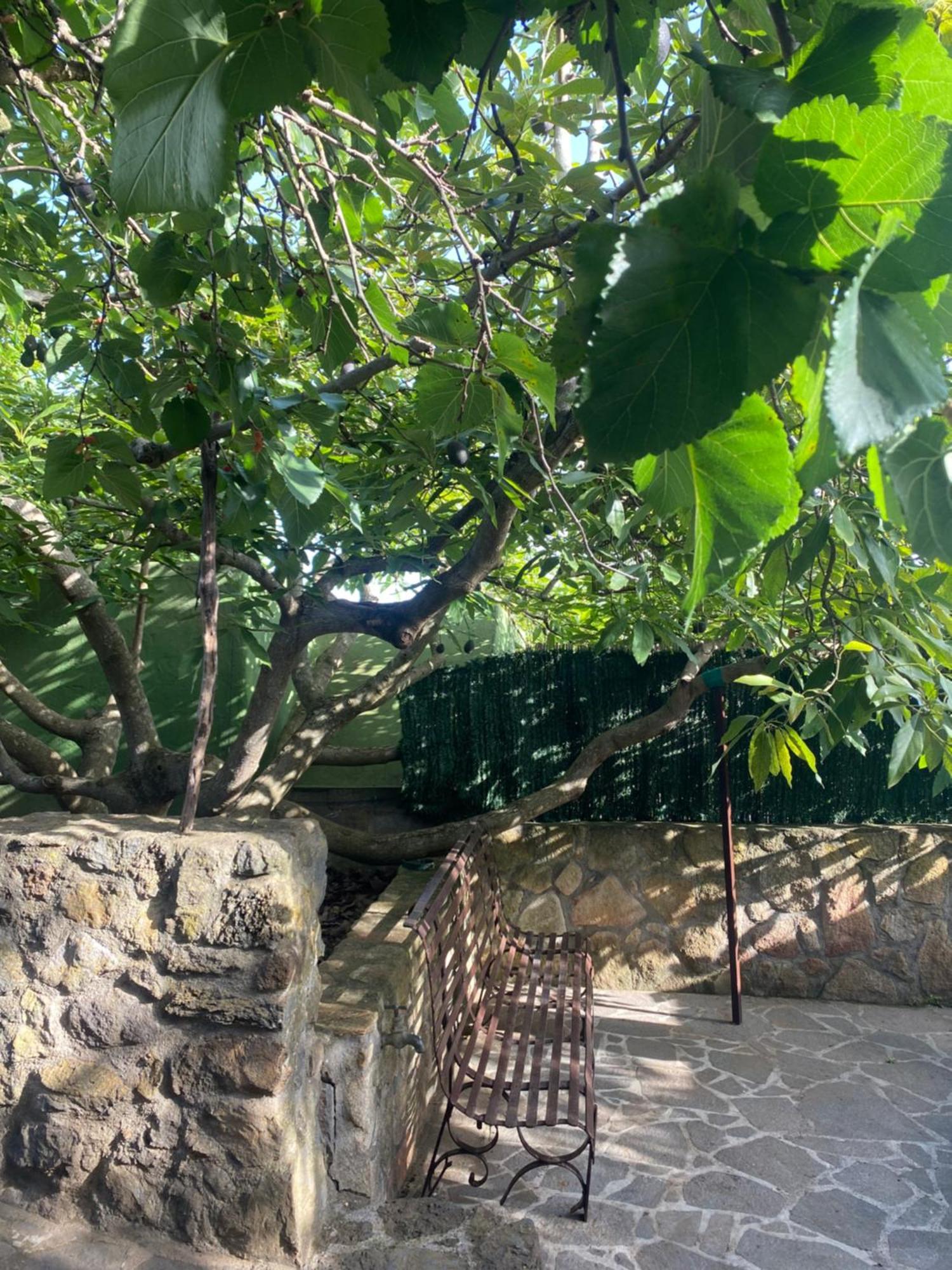 Holiday home Rural House To Take A Break, La Serreria 25 - Private Garden Tacoronte