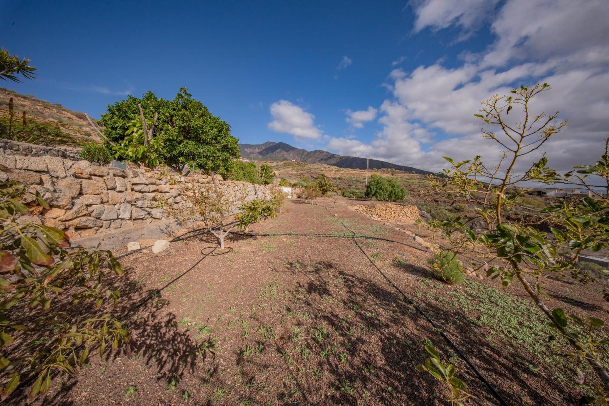 Buda Terra Holiday home Santa Cruz de Tenerife