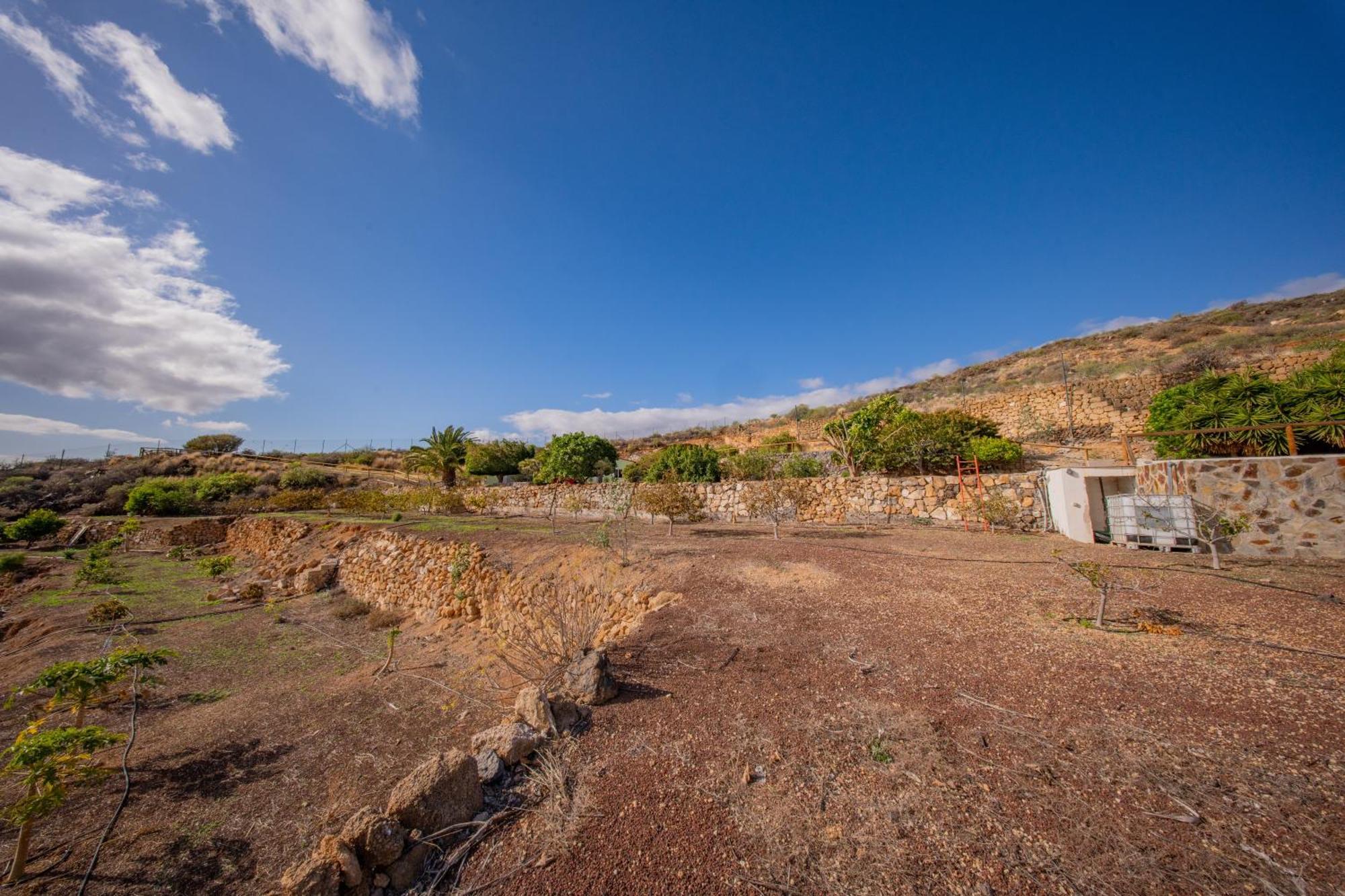 Holiday home Buda Terra Santa Cruz de Tenerife