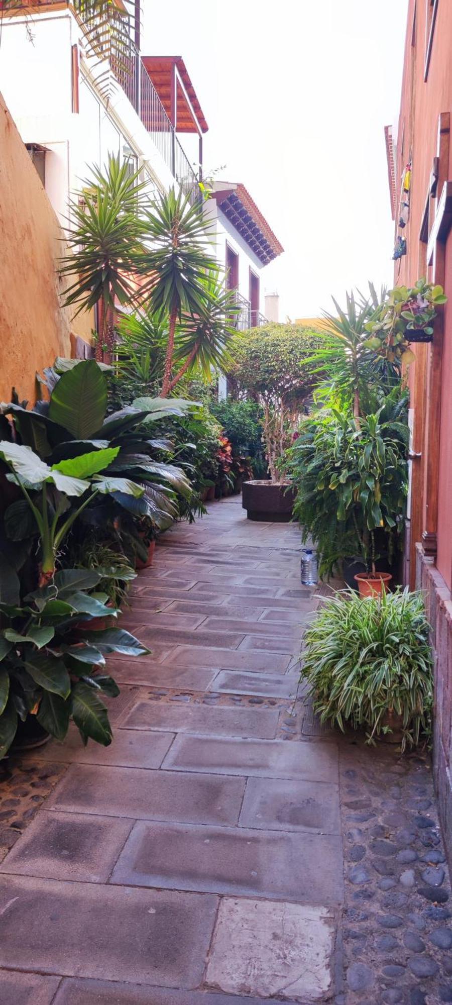 Appartement Teideplaya Puerto de la Cruz (Tenerife)